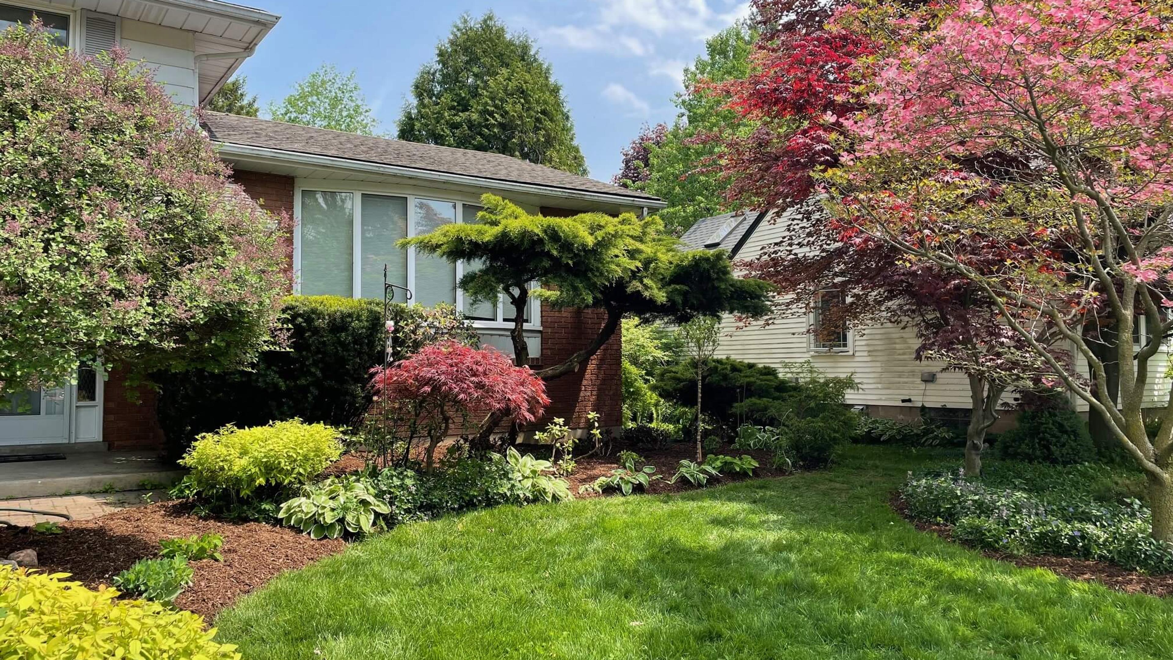 A lush garden with blooming trees and shrubs surrounds a suburban house under a clear blue sky, creating a serene landscape.