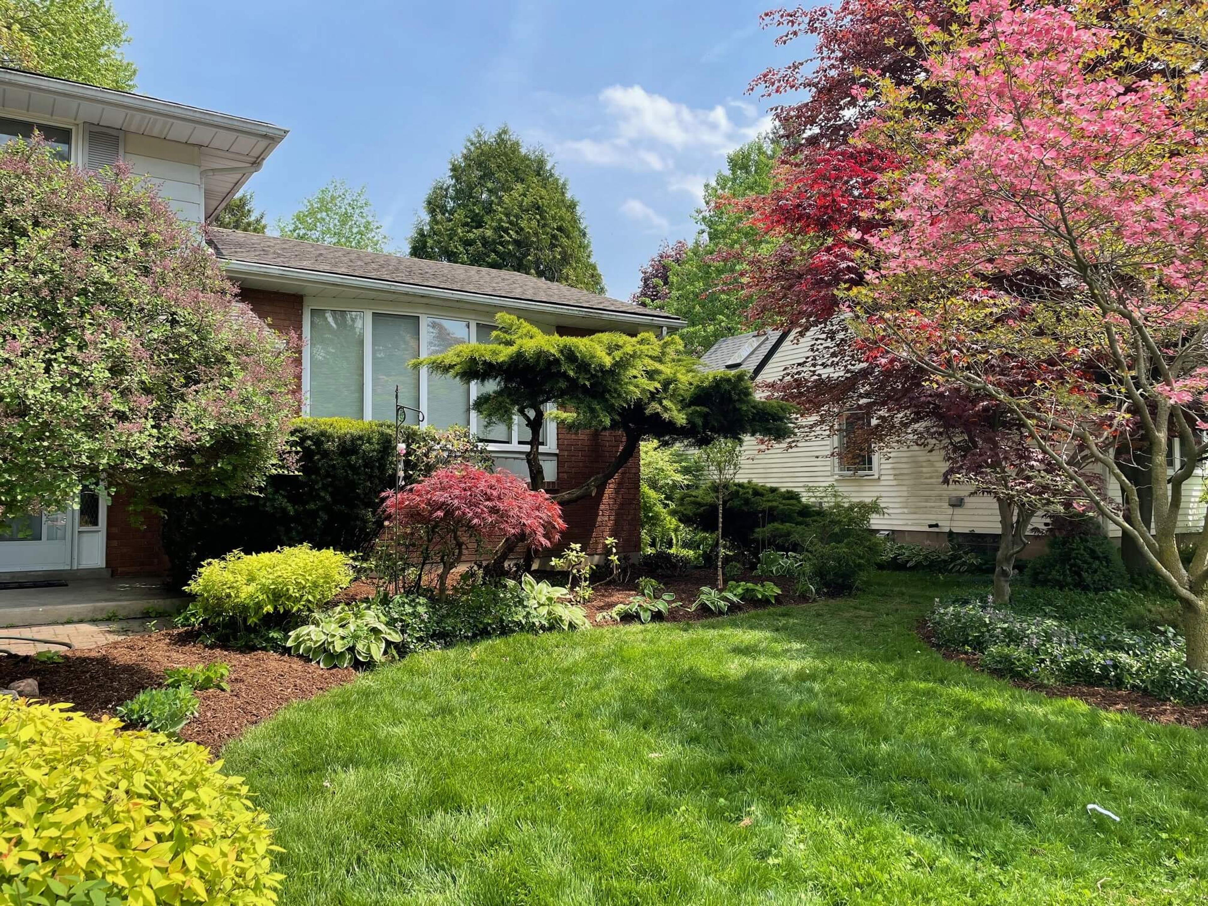 A lush garden with blooming trees and shrubs surrounds a suburban house under a clear blue sky, creating a serene landscape.