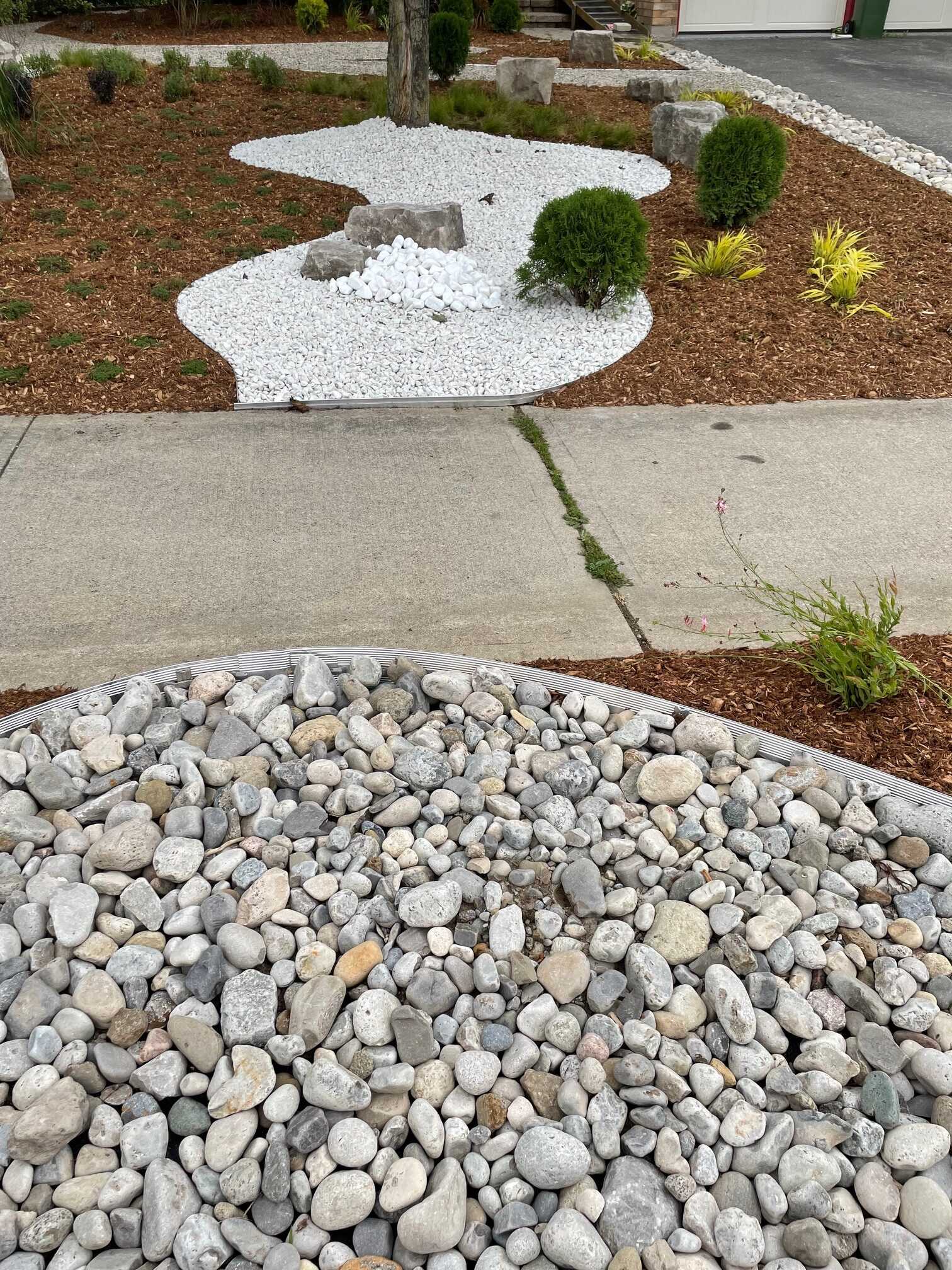 A garden with white and gray pebbles, bordered by mulch. Small shrubs and decorative stones enhance the landscape design along the pathway.