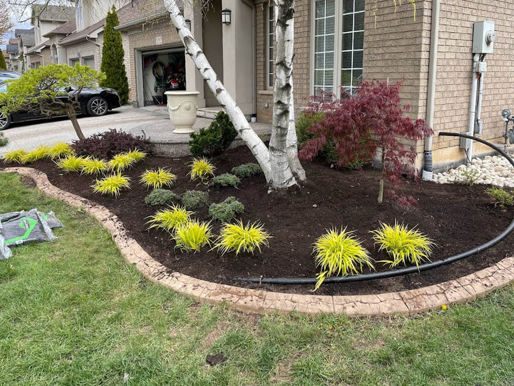 A well-maintained garden features trees, ornamental grass, and shrubs near a brick house and driveway with a visible garage and parked car.