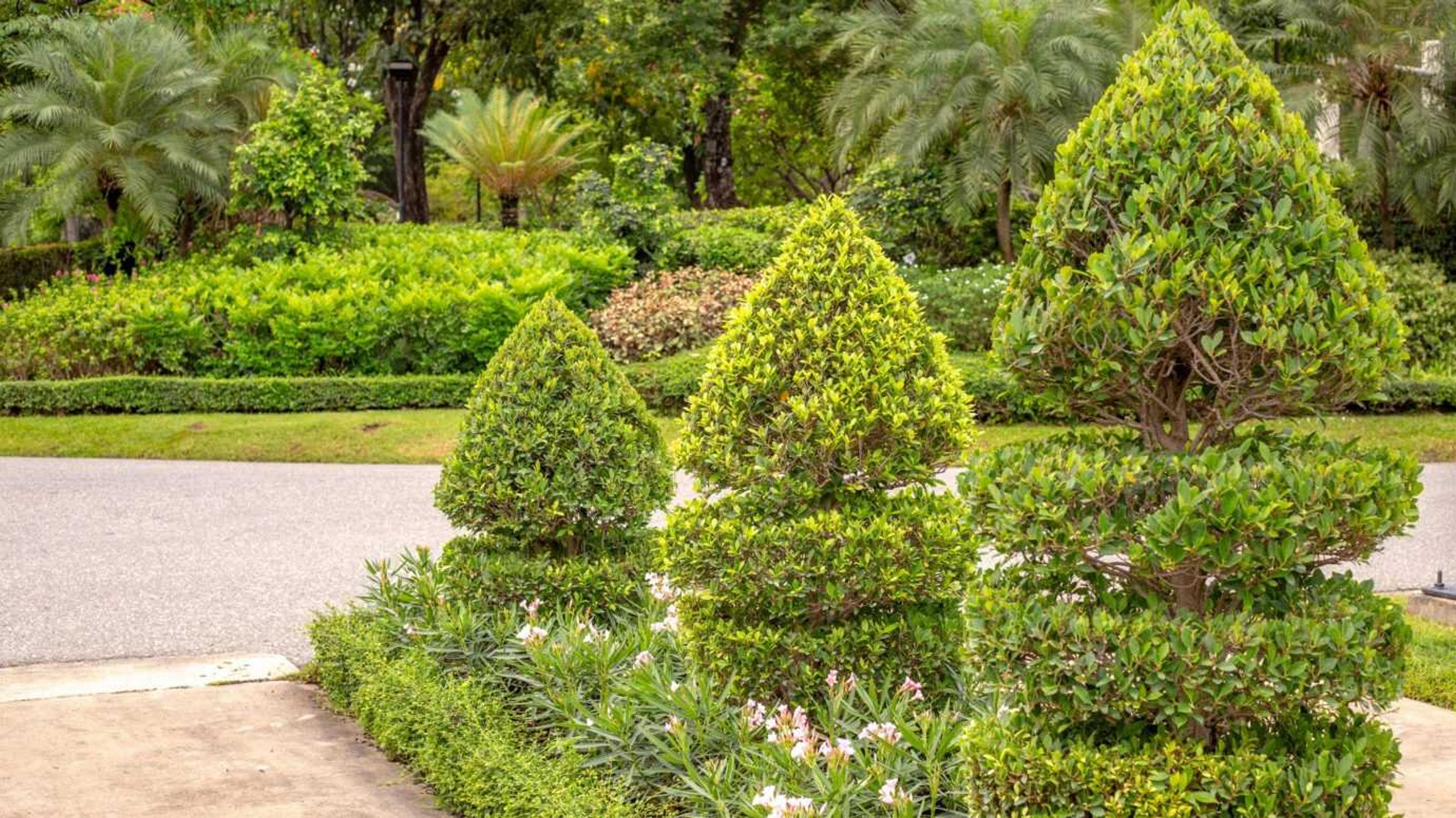 Neatly trimmed topiary trees, bright green foliage, and pink flowers adorn a peaceful garden path with a backdrop of lush trees.