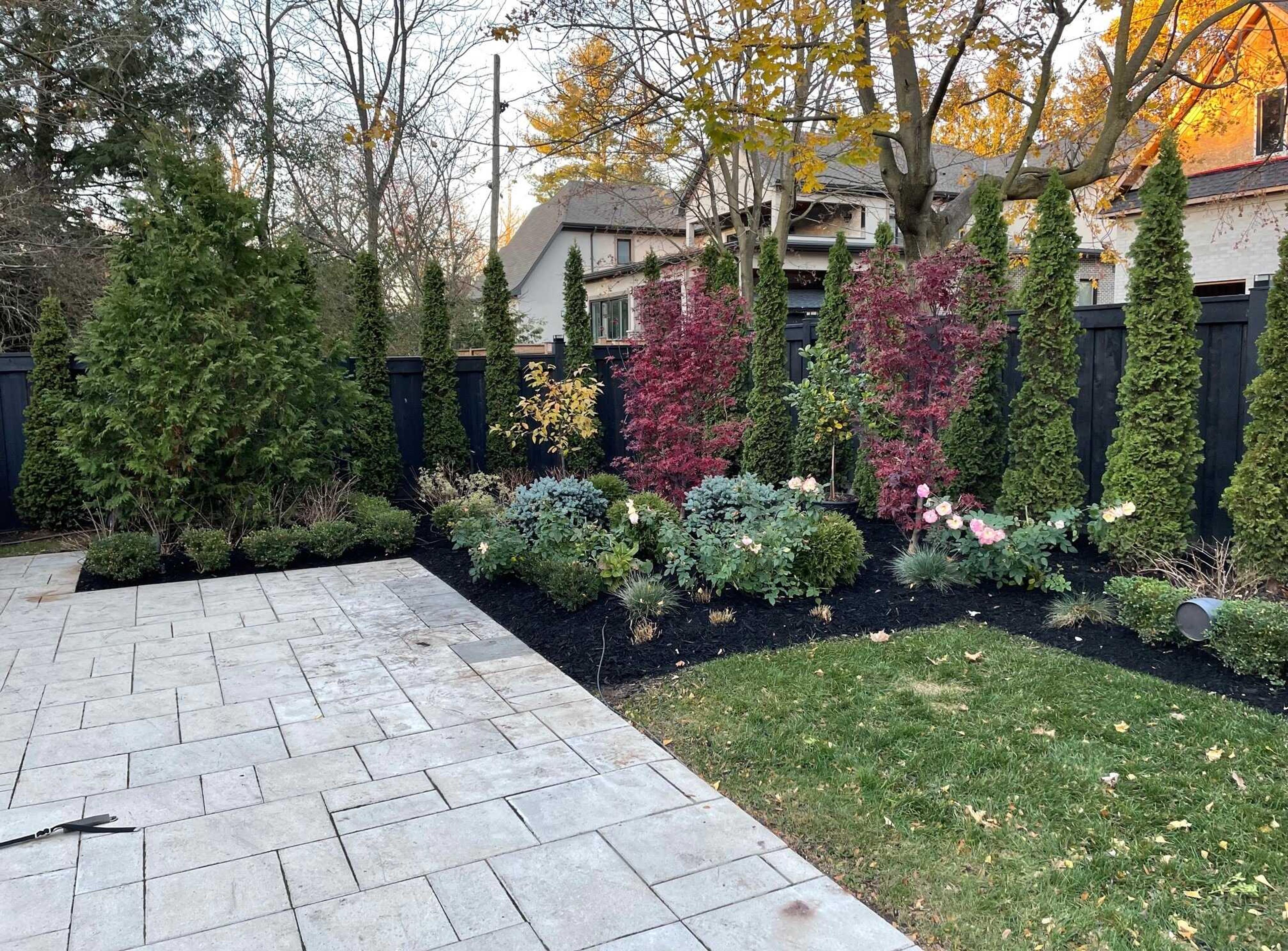 A newly constructed paver patio bordered by a fresh planting bed of columnar evergreens, ornamental grasses, and burgundy accent shrubs, set against a sleek black privacy fence.