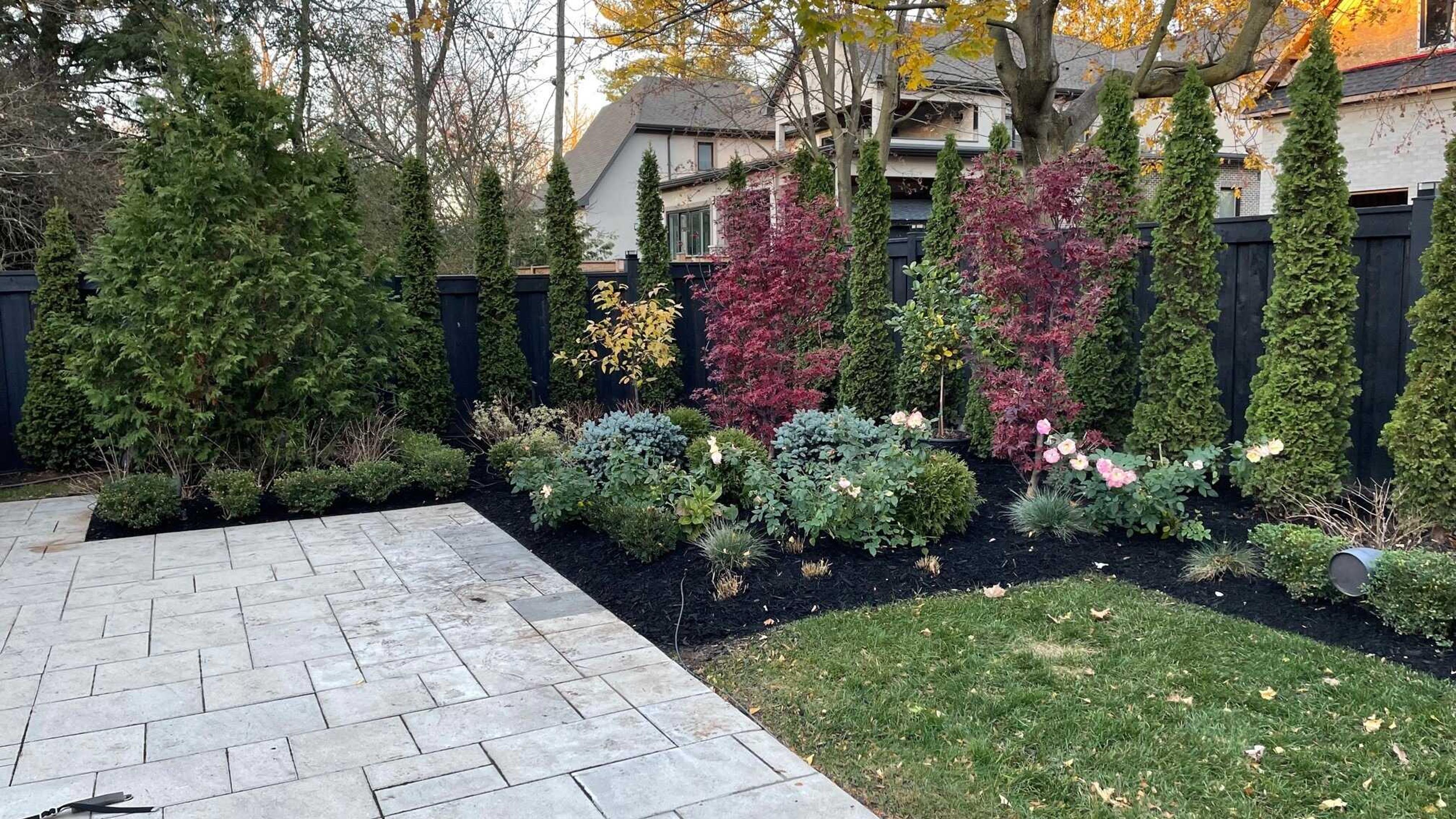 A landscaped backyard with evergreen trees, colorful shrubs, and neatly paved stones adjacent to a fence and residential house in the background.