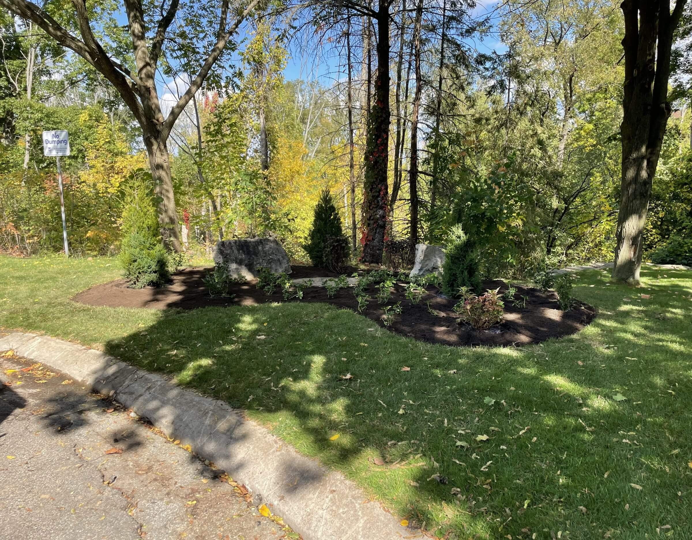 A curved mulched planting bed accented with large boulders and young evergreens, set into a wooded lawn area along the roadside.