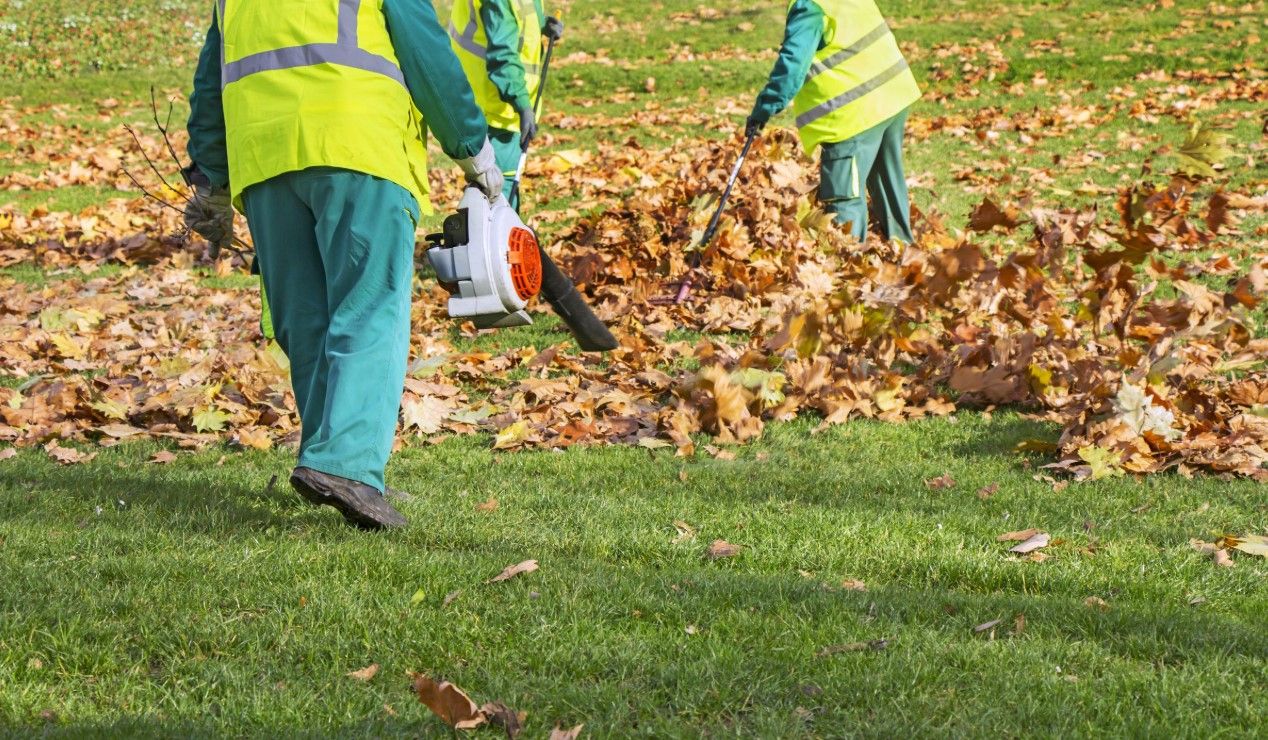A leaf blower clears drifts of fallen autumn leaves off a green lawn, sweeping them into a tidy pile.