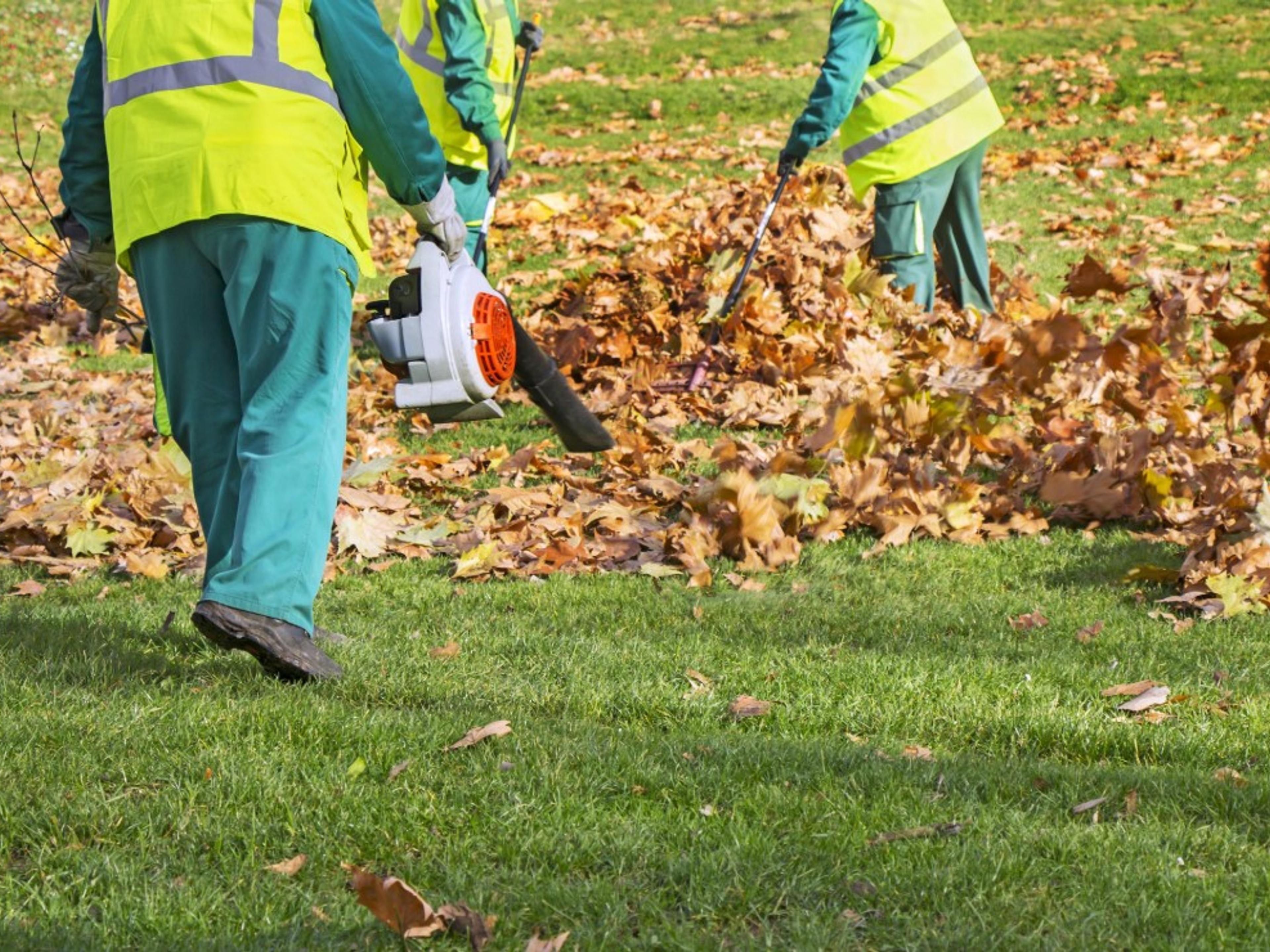 A leaf blower clears drifts of fallen autumn leaves off a green lawn, sweeping them into a tidy pile.