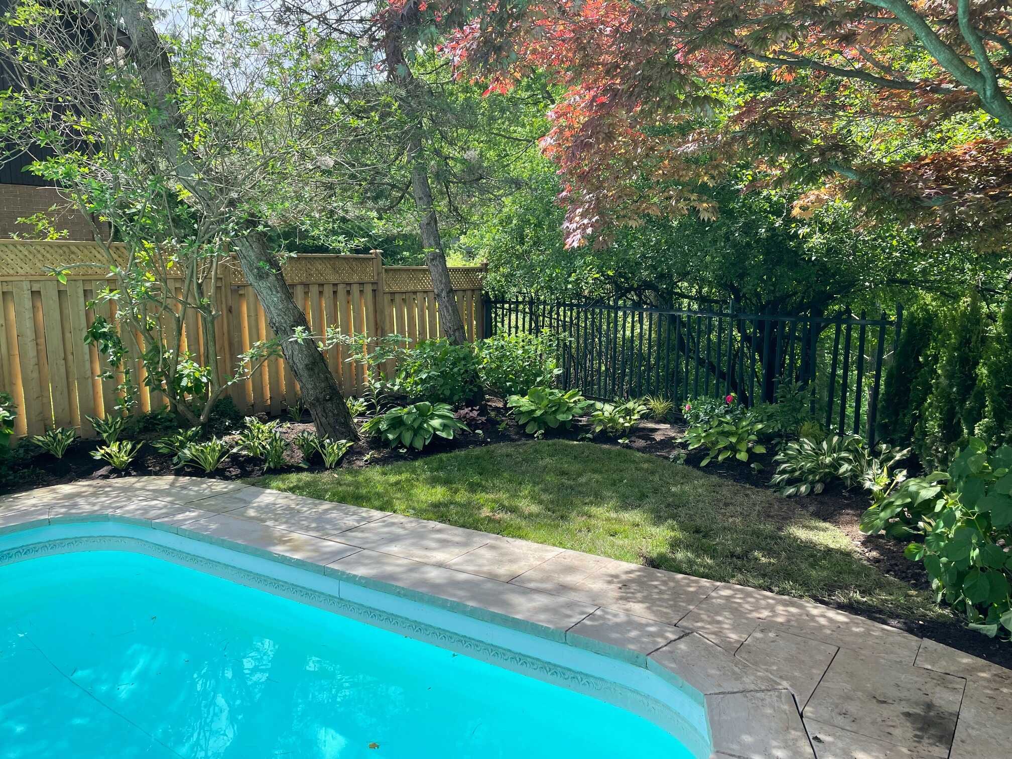 A tranquil backyard scene with a pool, lush greenery, and a wooden fence, creating a serene and private outdoor oasis.