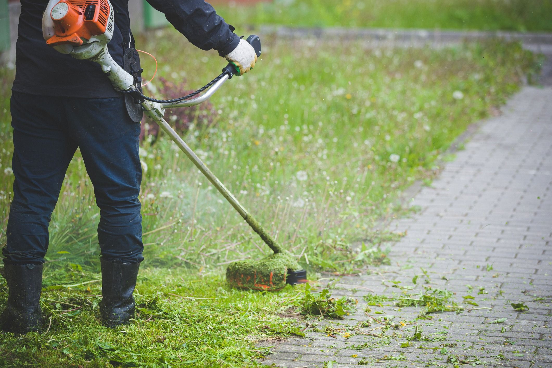 A worker uses a gas string trimmer to cleanly edge overgrown grass and weeds along a paved walkway, leaving a crisp, tidy border.