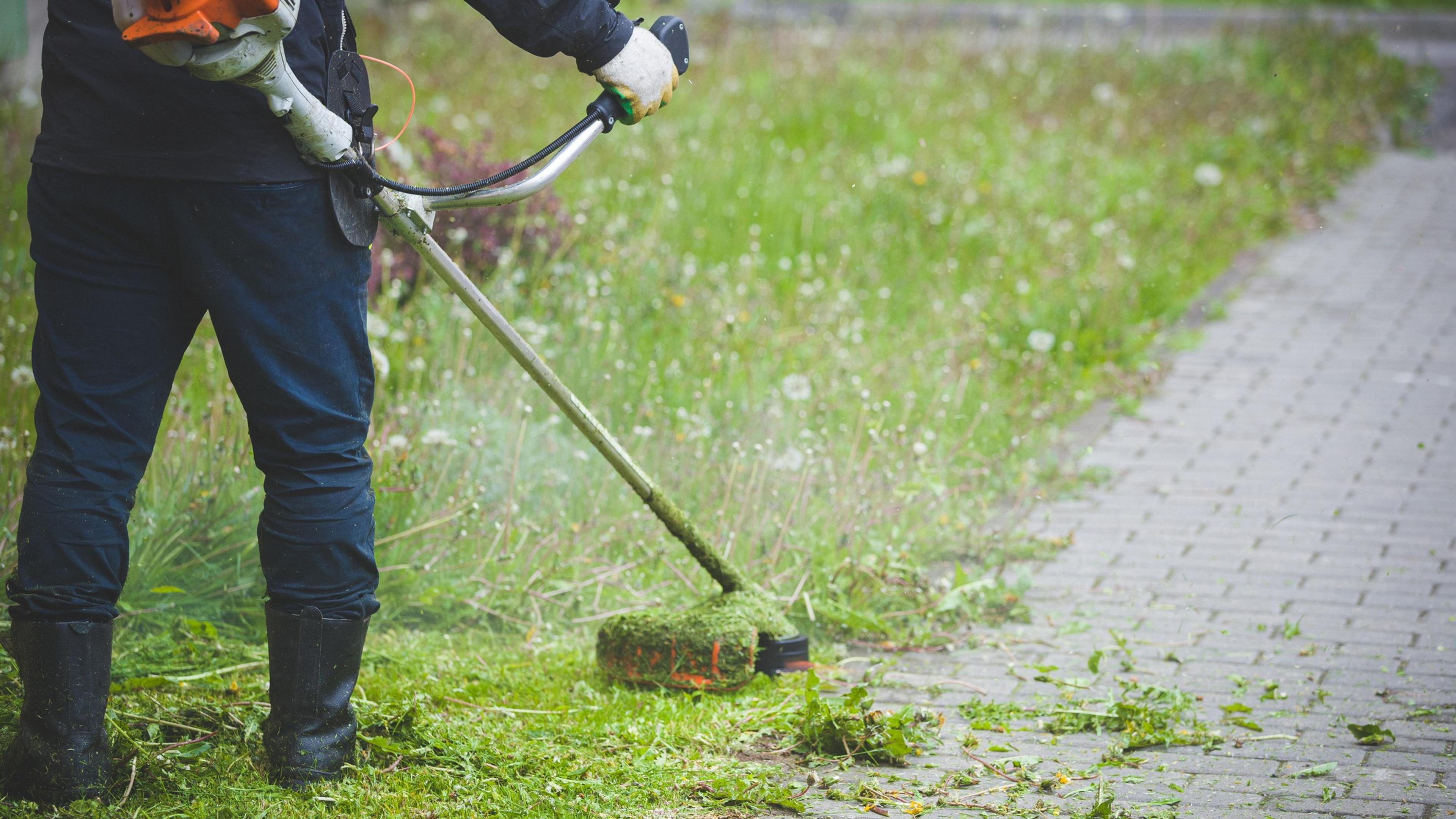 A worker uses a gas string trimmer to cleanly edge overgrown grass and weeds along a paved walkway, leaving a crisp, tidy border.