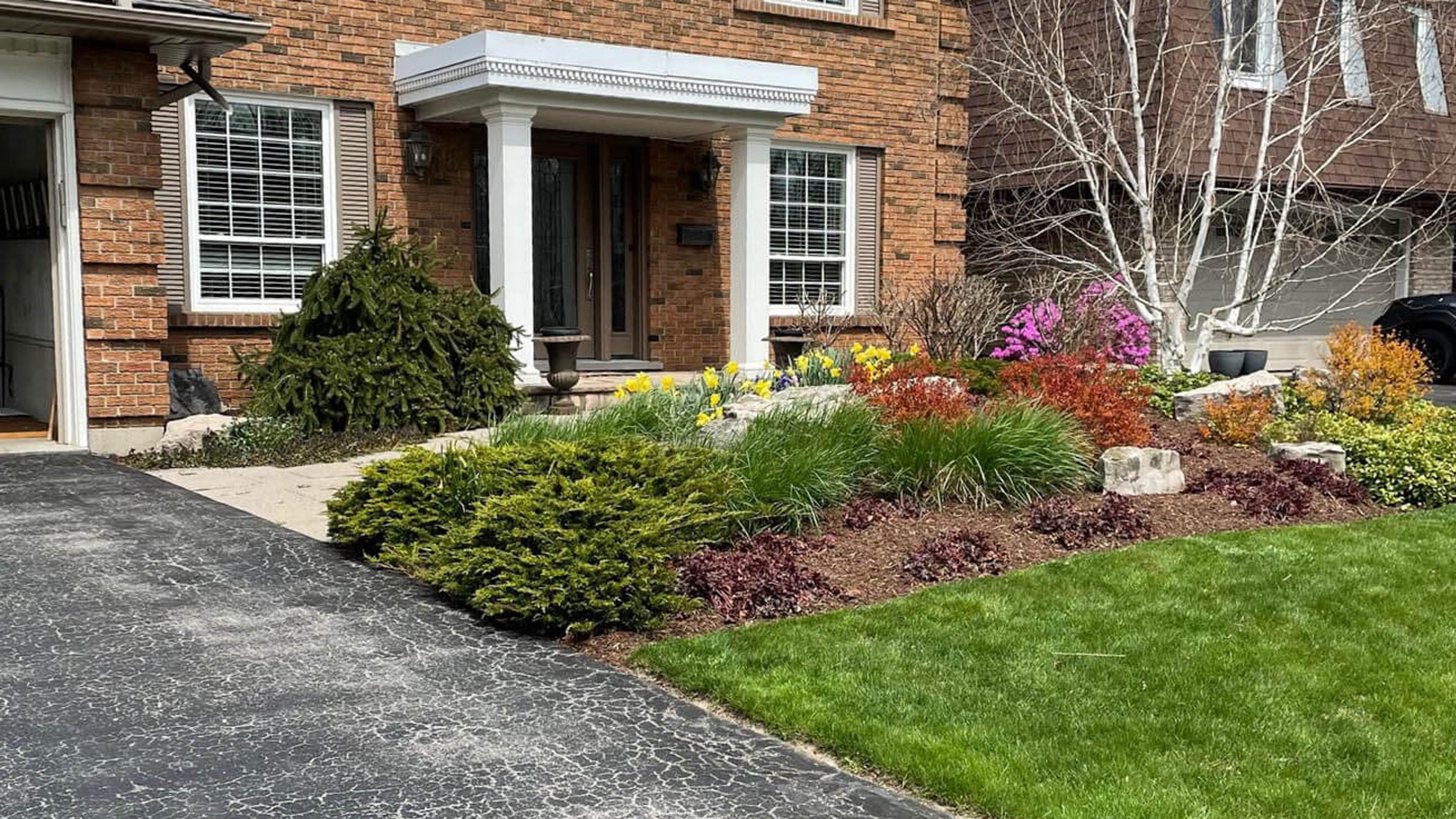 A colorful entrance garden bed with layered evergreens, ornamental grasses, and blooming perennials in red, yellow, and purple, edged crisply against a fresh asphalt driveway and lawn.