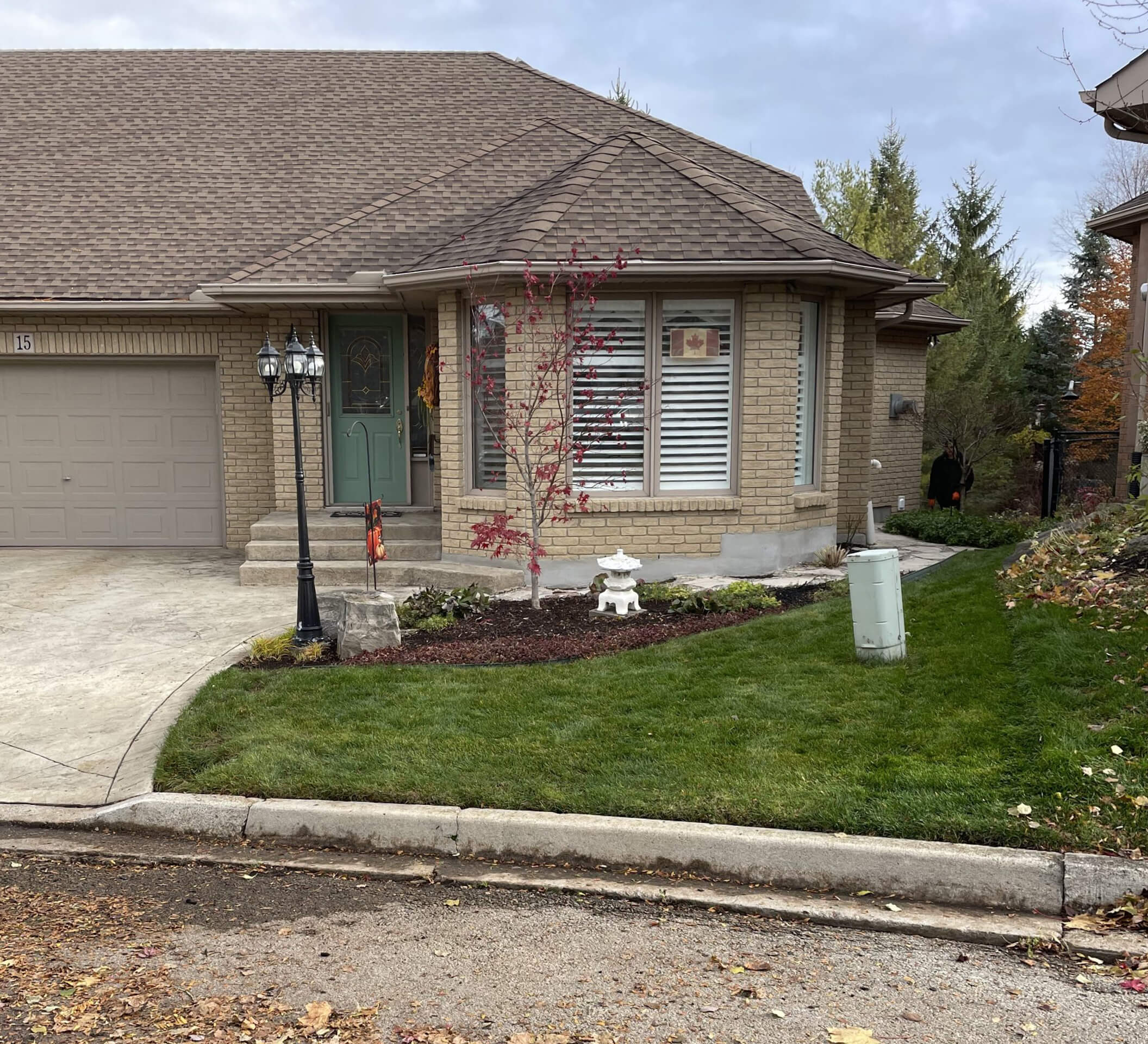 A tidy front lawn with a small mulched planting bed and young ornamental tree, edged cleanly along the curved driveway and walkway.