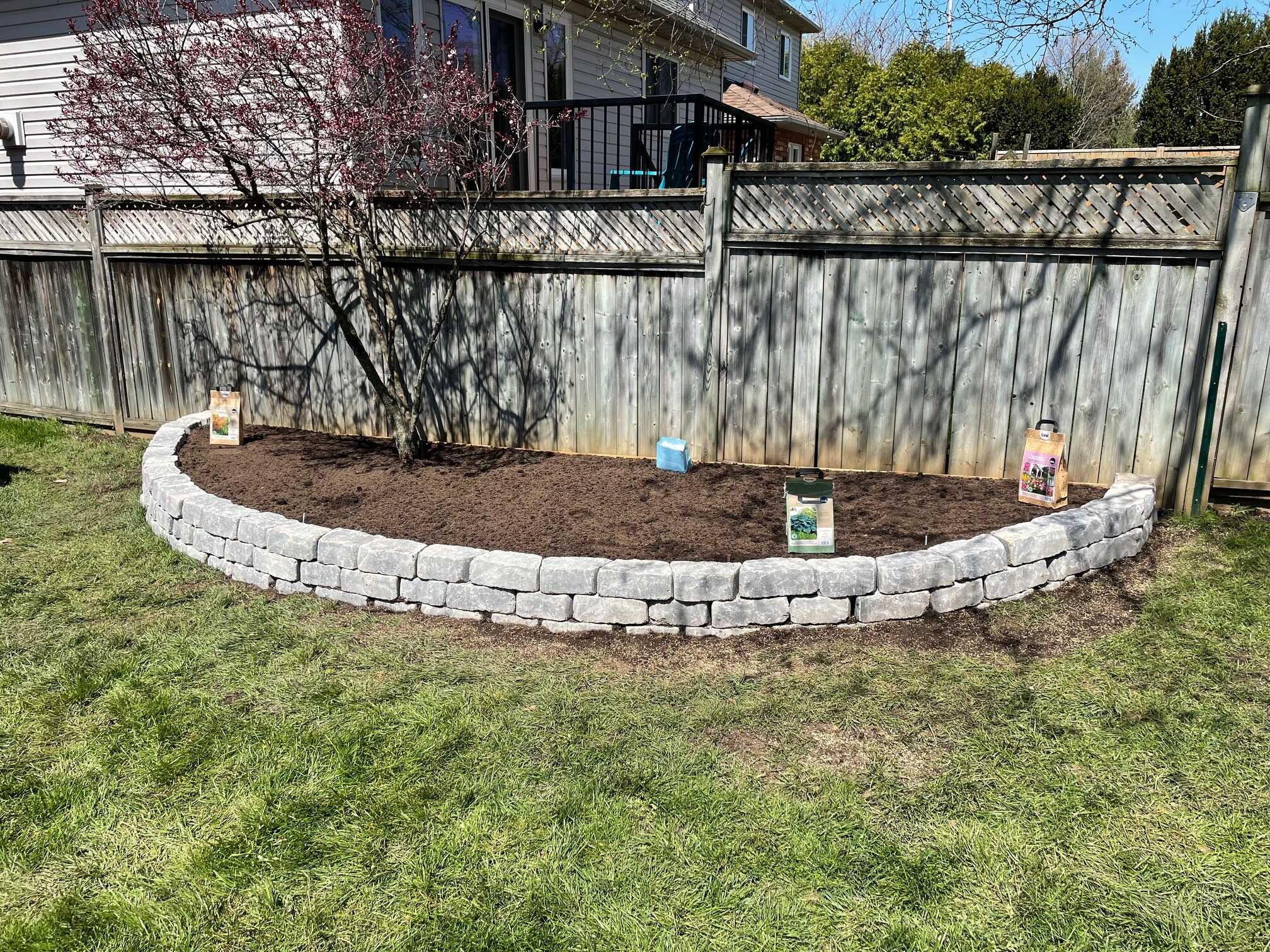 A garden bed with stone border and tree, near a wooden fence, featuring plant materials and grassy lawn in a residential backyard.
