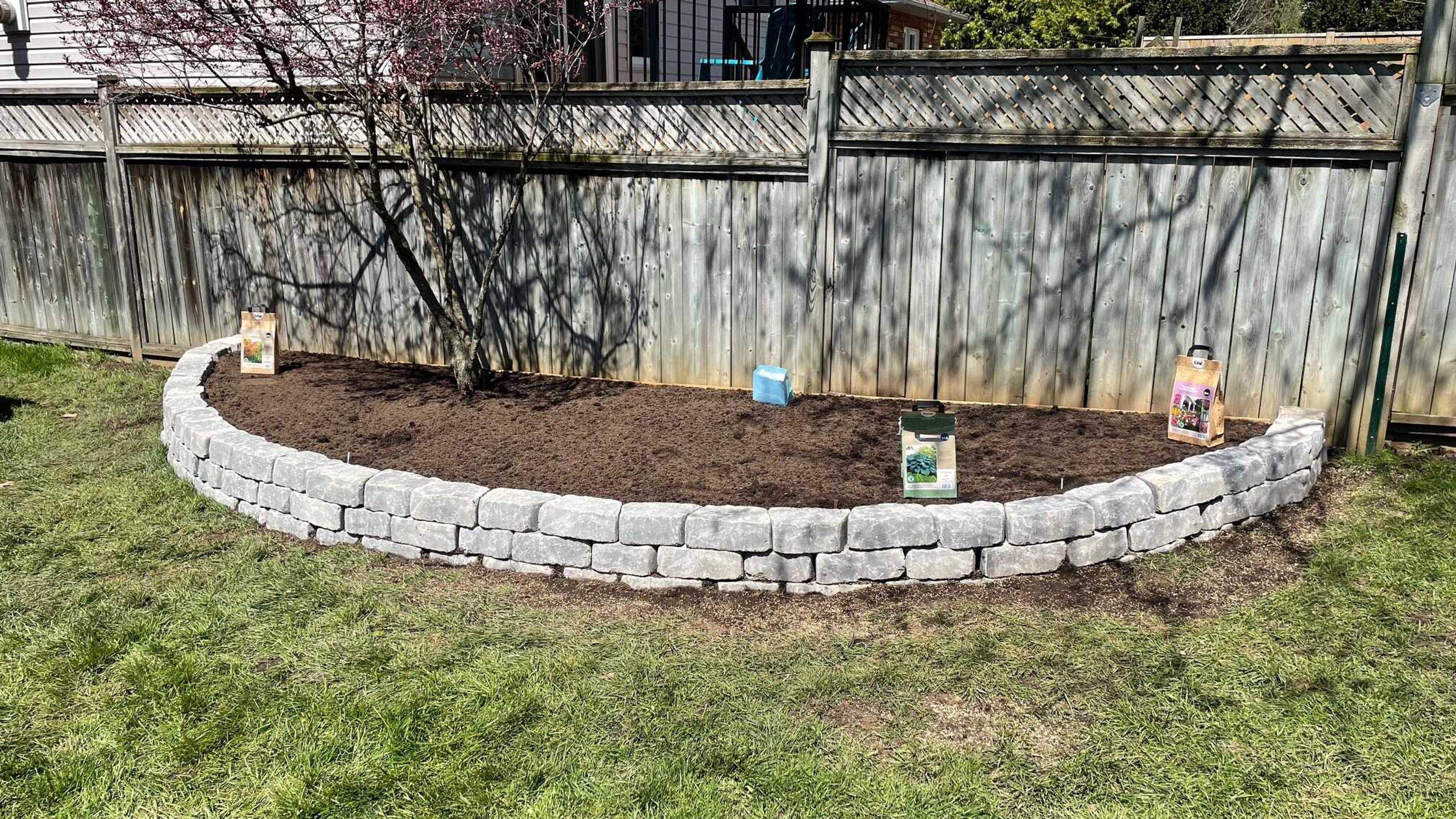 A garden bed with stone border and tree, near a wooden fence, featuring plant materials and grassy lawn in a residential backyard.