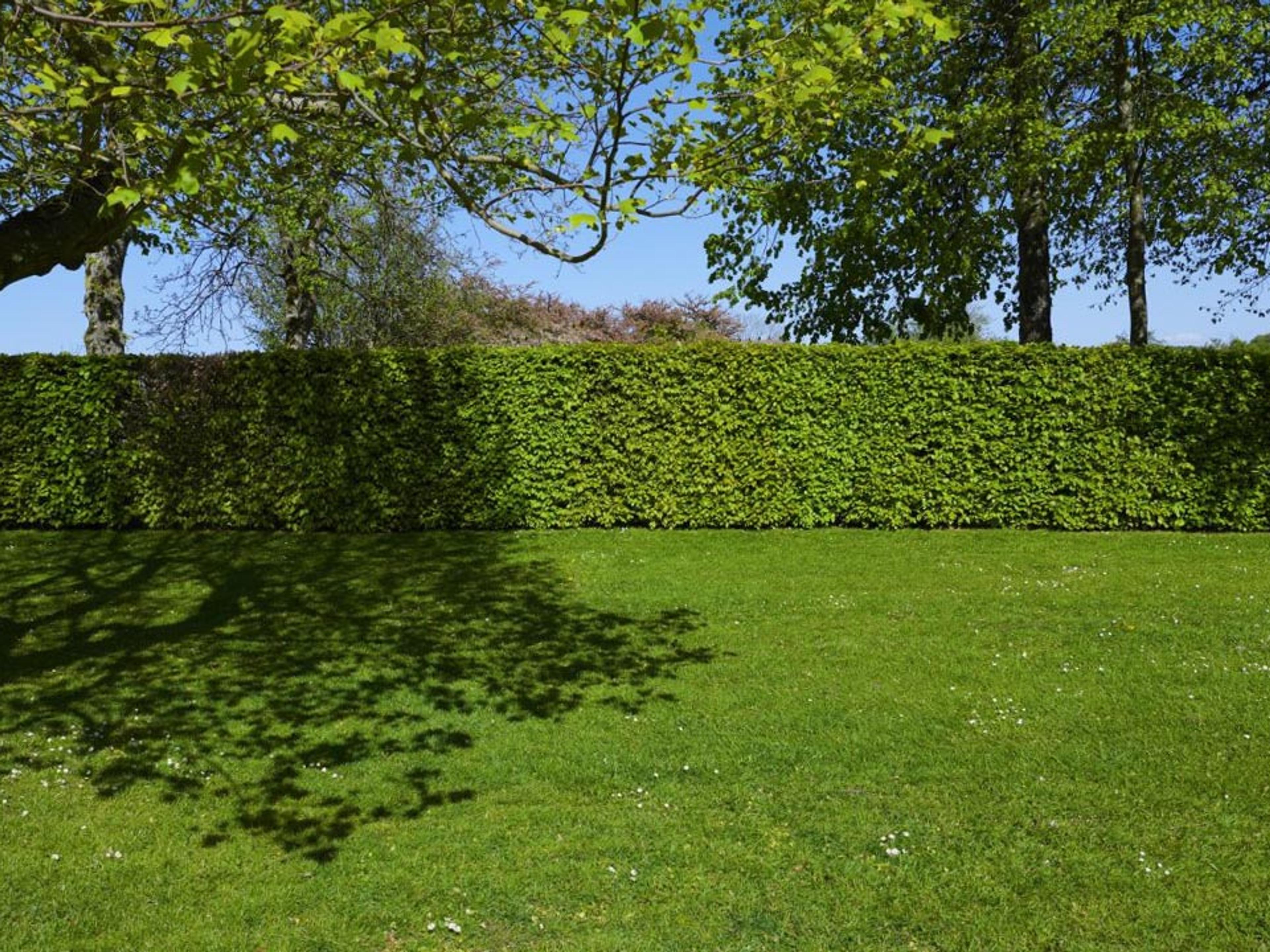 A stone raised planter bursting with hydrangeas and marigolds sits before a rustic stacked stone retaining wall and a tall, tightly clipped hedge, with a manicured lawn rolling out in front.