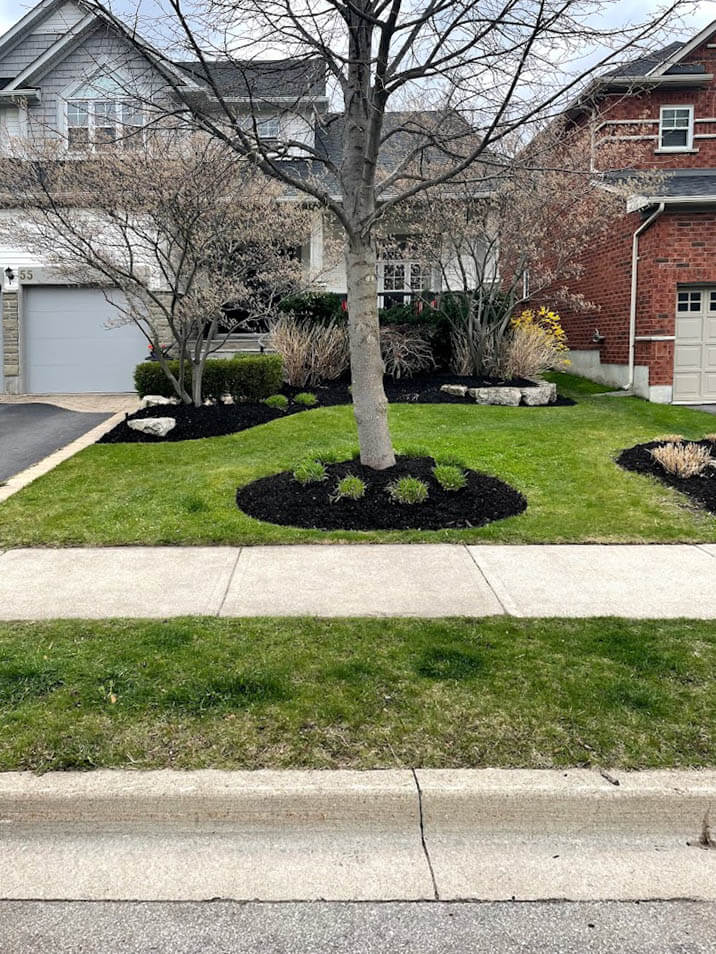 Suburban house with manicured lawn, trees, and shrubs. Brick and gray siding on houses. Sidewalk and driveway visible, no people present.