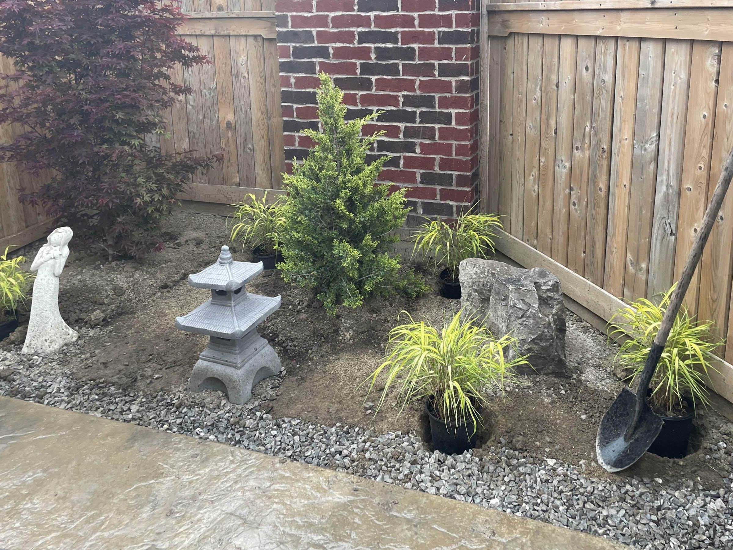 A Japanese-style garden corner in progress, with a young evergreen, potted ornamental grasses, an accent boulder, and a stone lantern set into gravel mulch, framed by a wood fence.