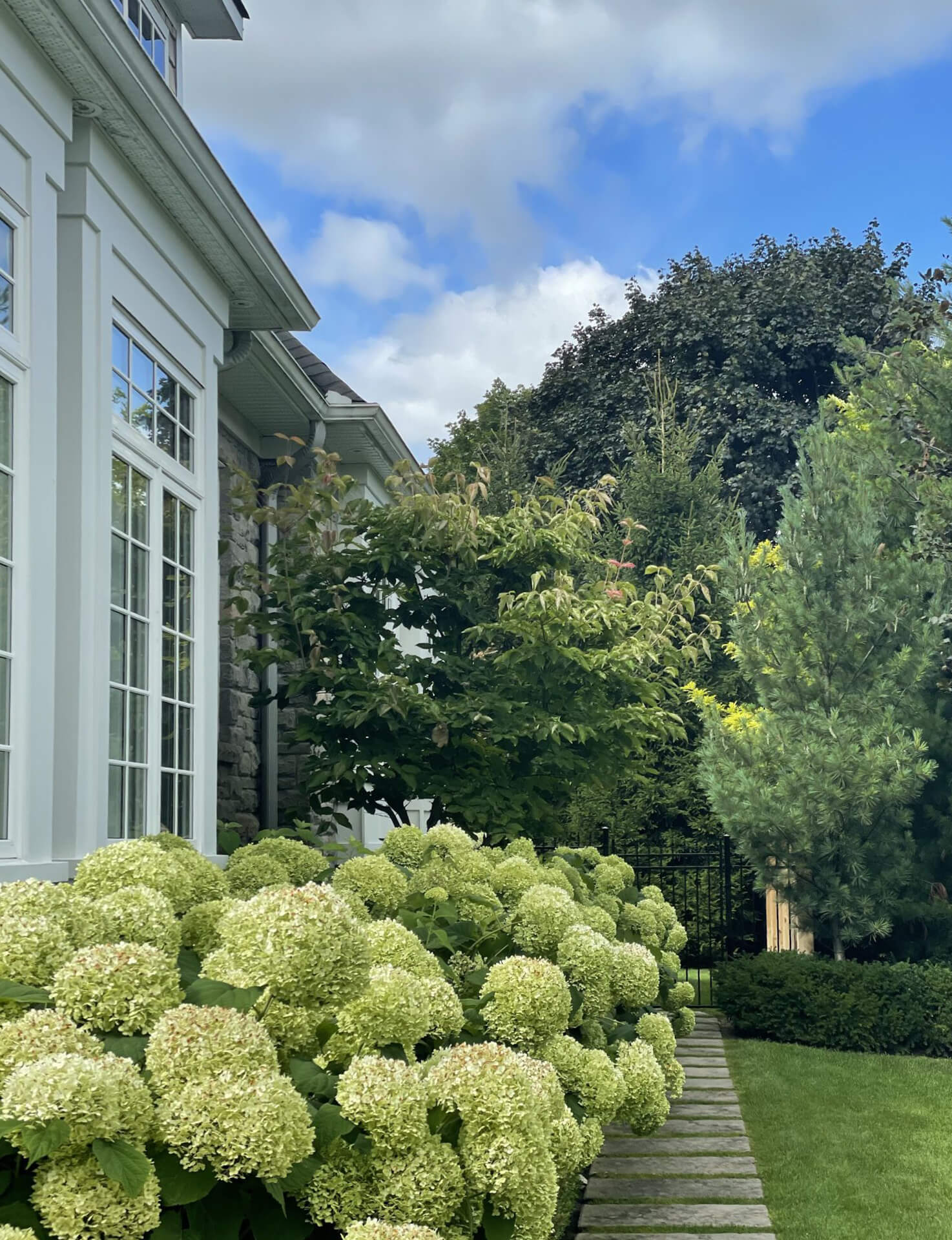 A dense row of chartreuse hydrangea blooms lines the foundation, backed by layered evergreens and a manicured lawn edge.