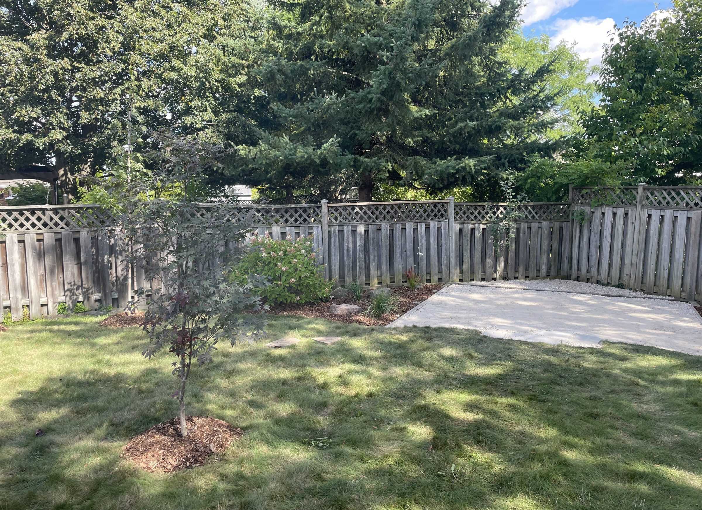 A backyard corner with a young tree in a mulched ring, a small planting bed along the fence line, and a paver patio area set into the lawn.