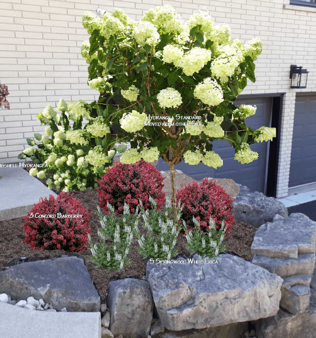 A small garden features hydrangeas, Concord barberry, and Springwood white Erica, set against a brick wall and two garage doors.