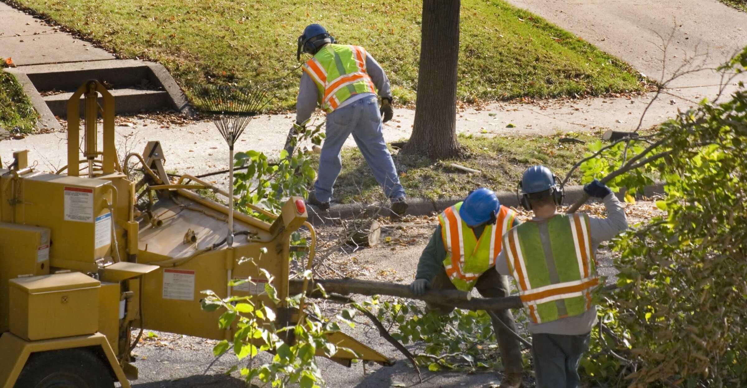 Three people in safety vests and helmets operate a wood chipper, collecting branches along a suburban sidewalk surrounded by grass.