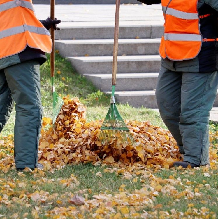 Two persons in orange vests rake autumn leaves into a pile on a grassy area near stone steps.