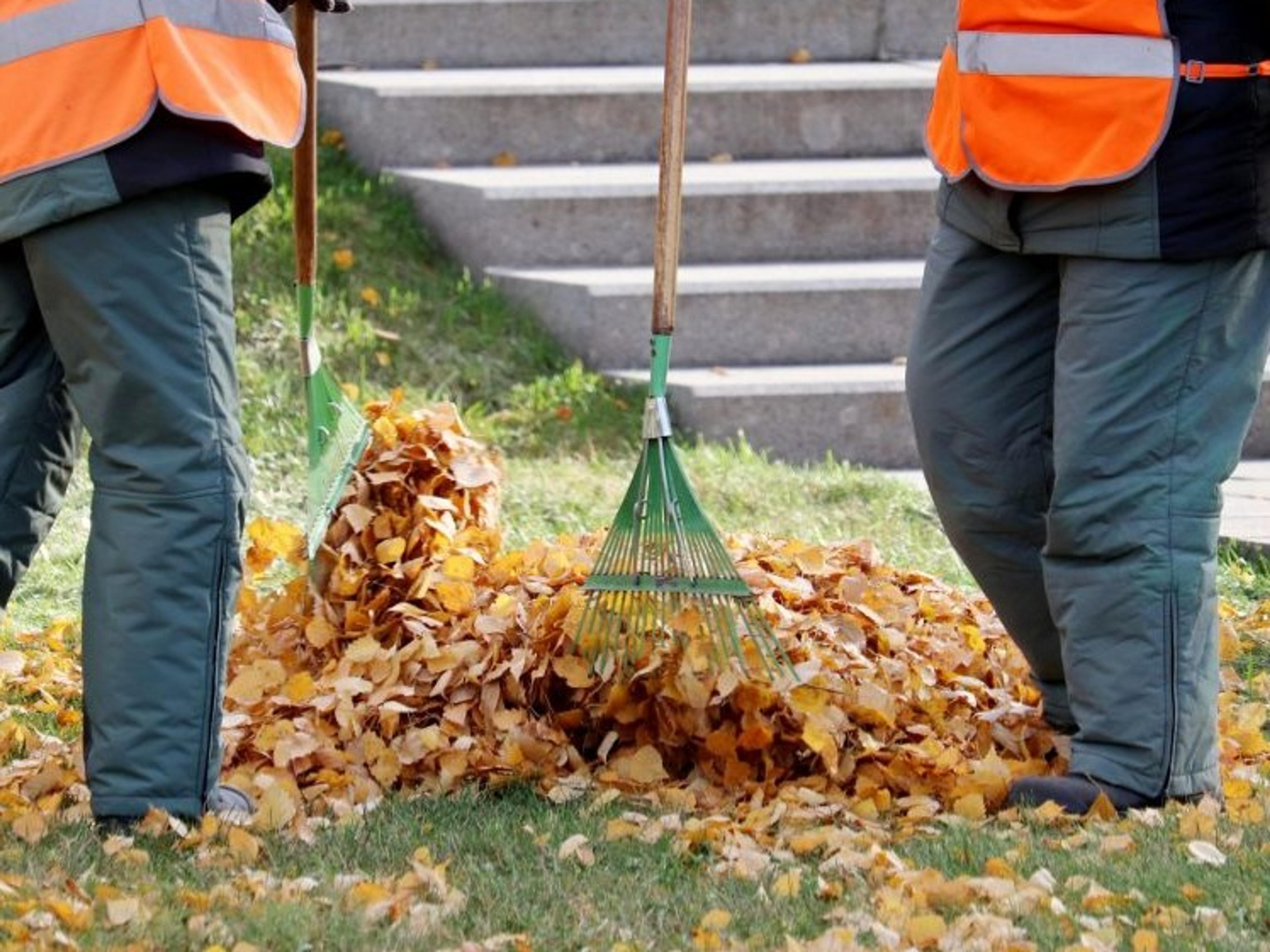 Two persons in orange vests rake autumn leaves into a pile on a grassy area near stone steps.