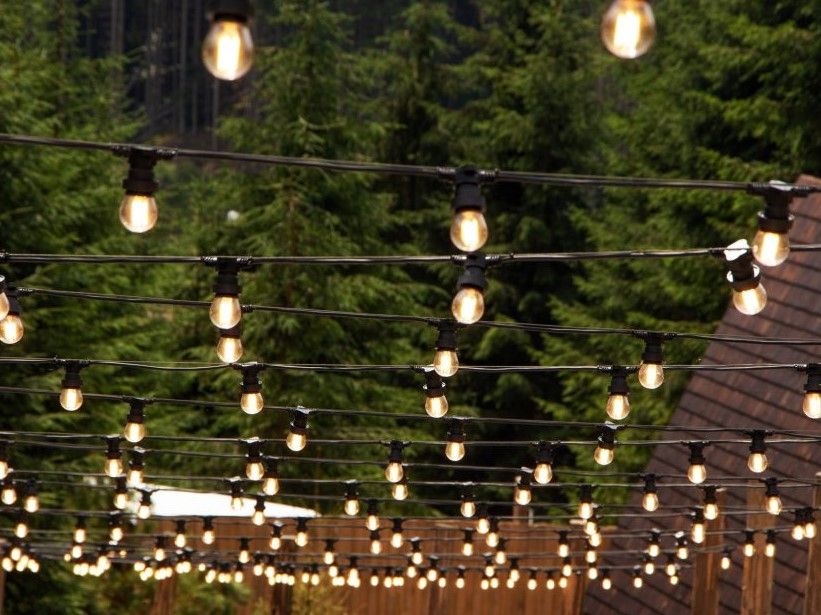 Strings of bulb lights crisscross overhead in a backyard, set against a wooden fence and evergreen trees at dusk.