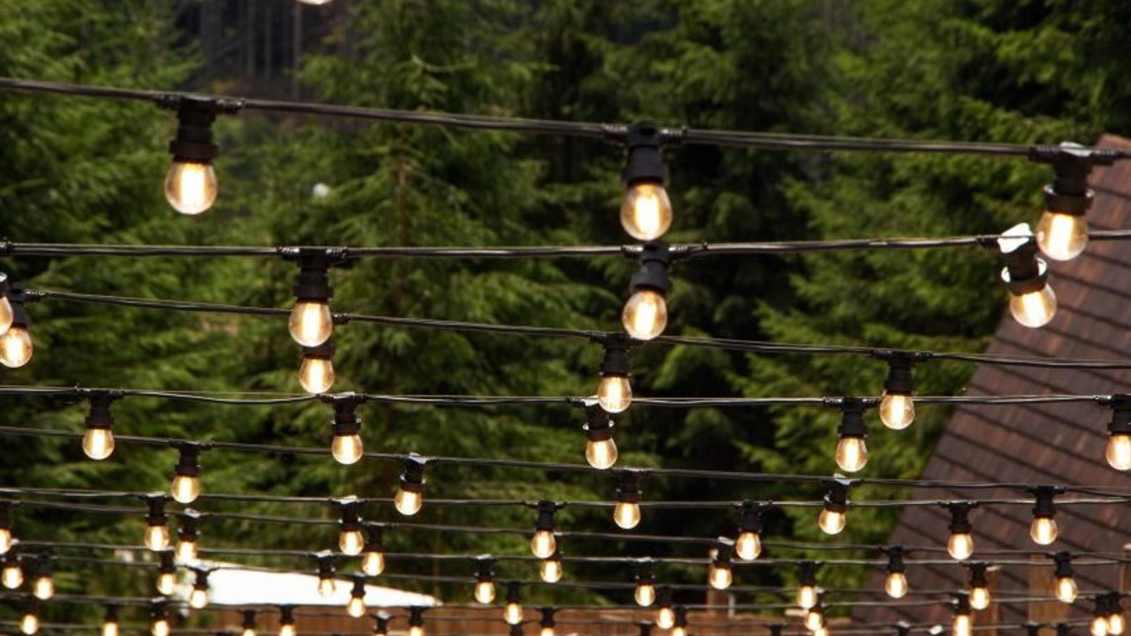 Strings of bulb lights crisscross overhead in a backyard, set against a wooden fence and evergreen trees at dusk.