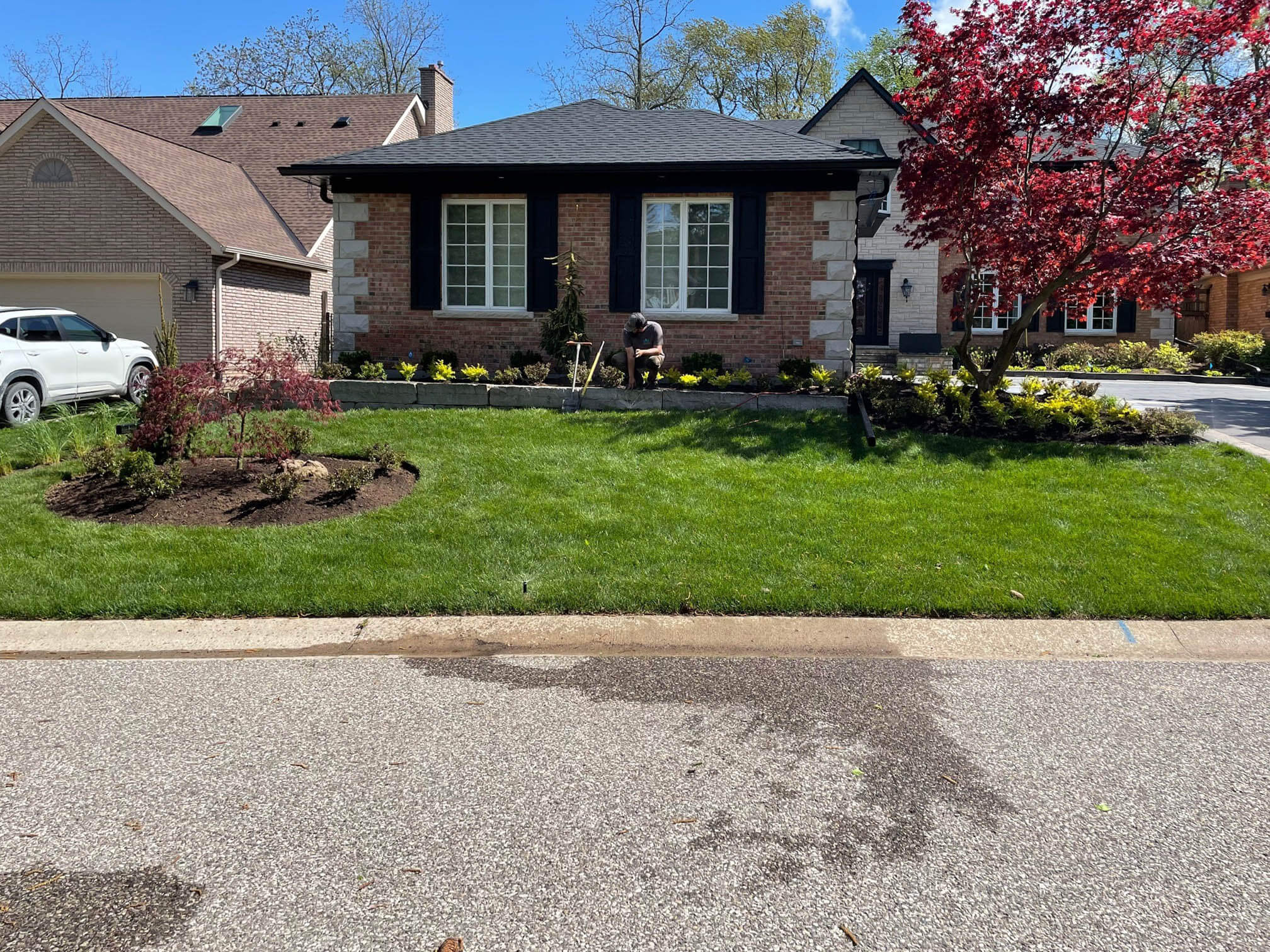 A person tends a garden in front of a brick house, surrounded by lush green grass and a flowering tree on a sunny day.