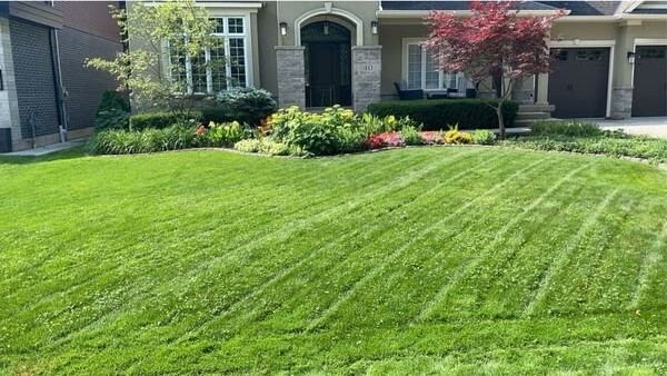 A well-manicured lawn with vibrant plants and a small tree in front of a residential house. No recognizable landmarks or historical buildings.