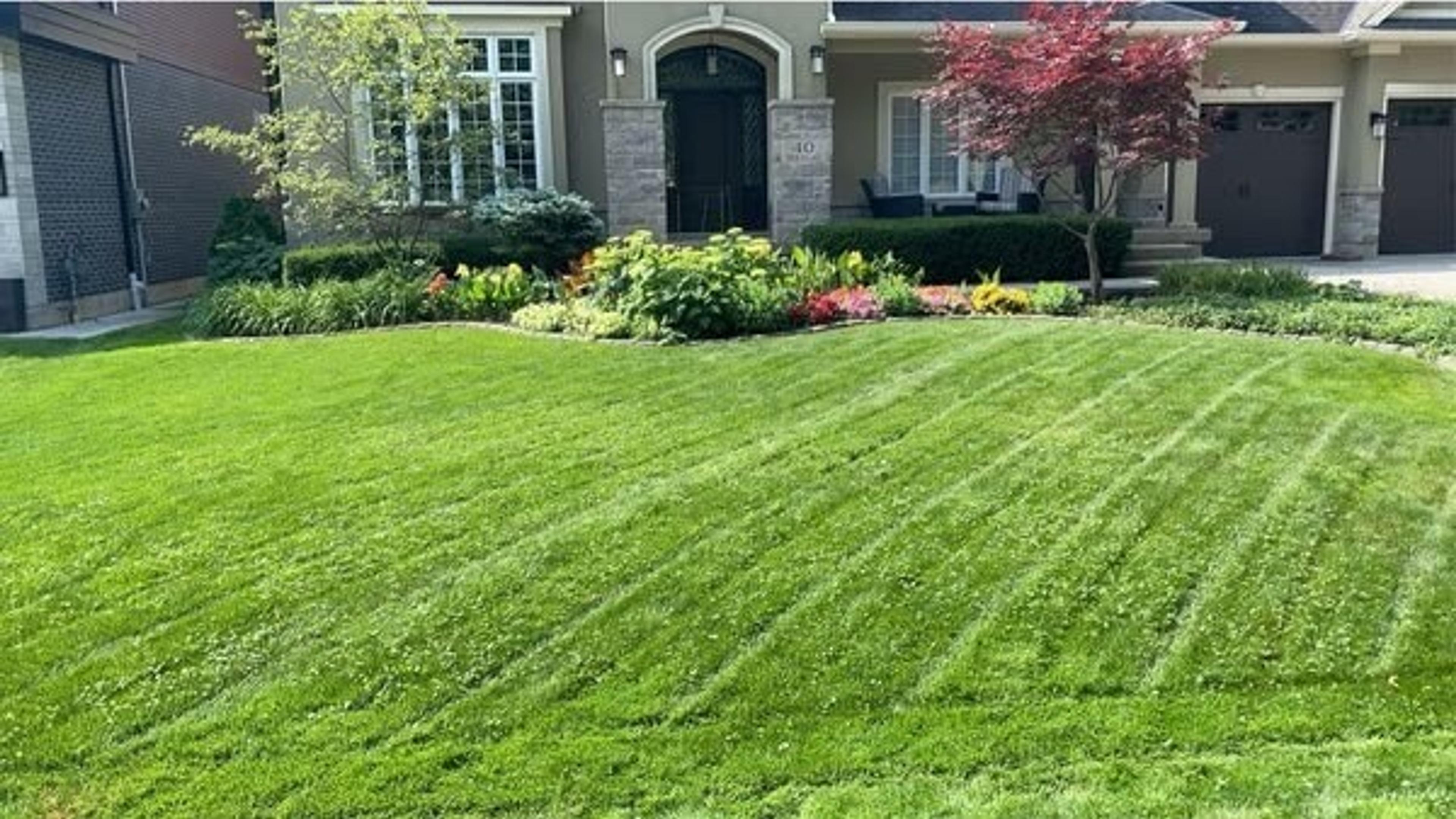 A well-manicured lawn with vibrant plants and a small tree in front of a residential house. No recognizable landmarks or historical buildings.