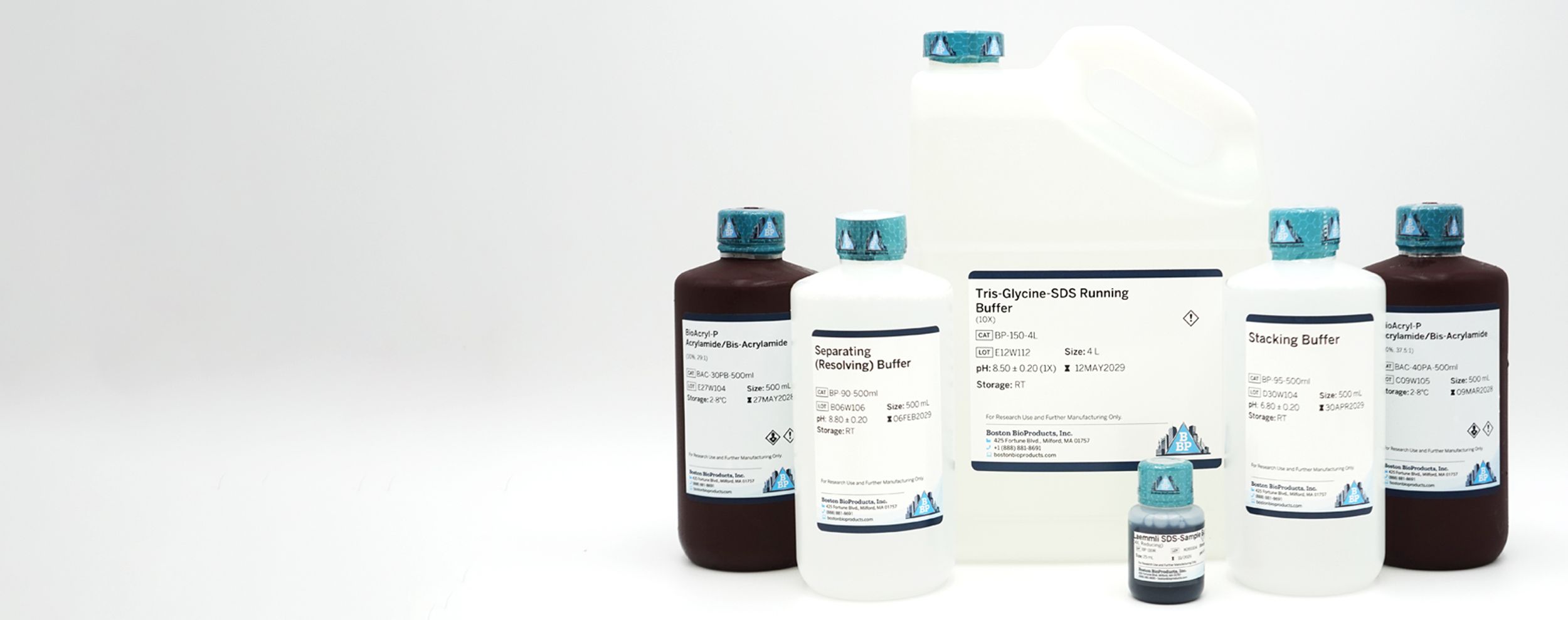 Laboratory reagents and buffers for SDS-PAGE protein electrophoresis in a research lab