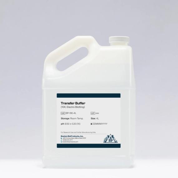 Transfer Buffer (10X, Electro Blotting)