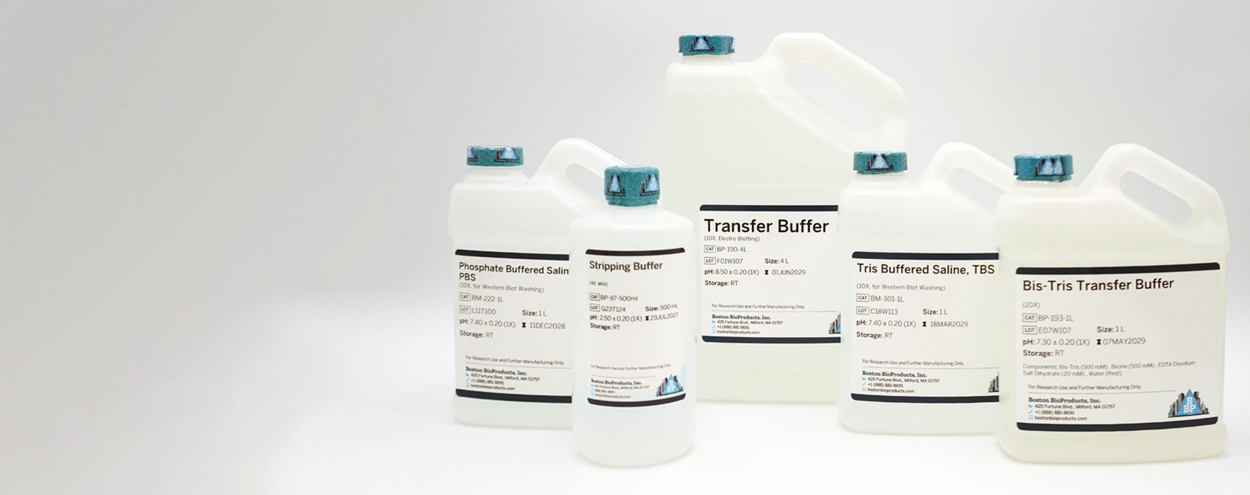 Western blotting buffer solutions and laboratory reagents in a research lab setting