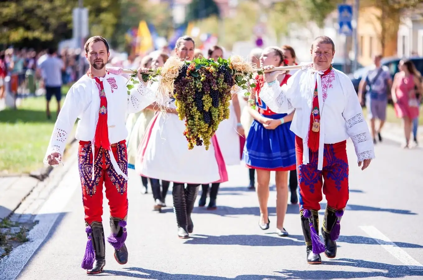 Vinobraní Mikulov.