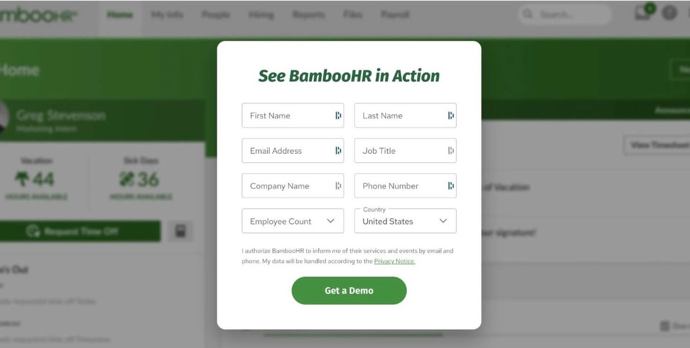 bamboo hr lead gen