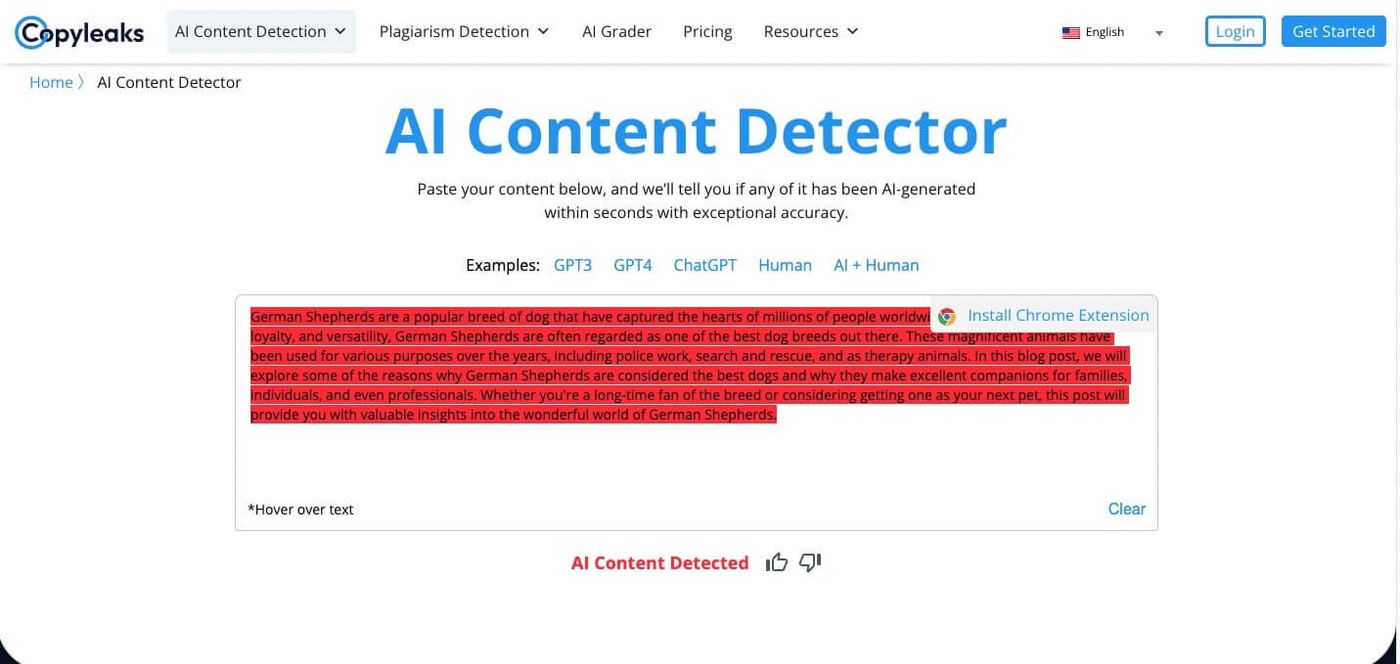 copyleaks output