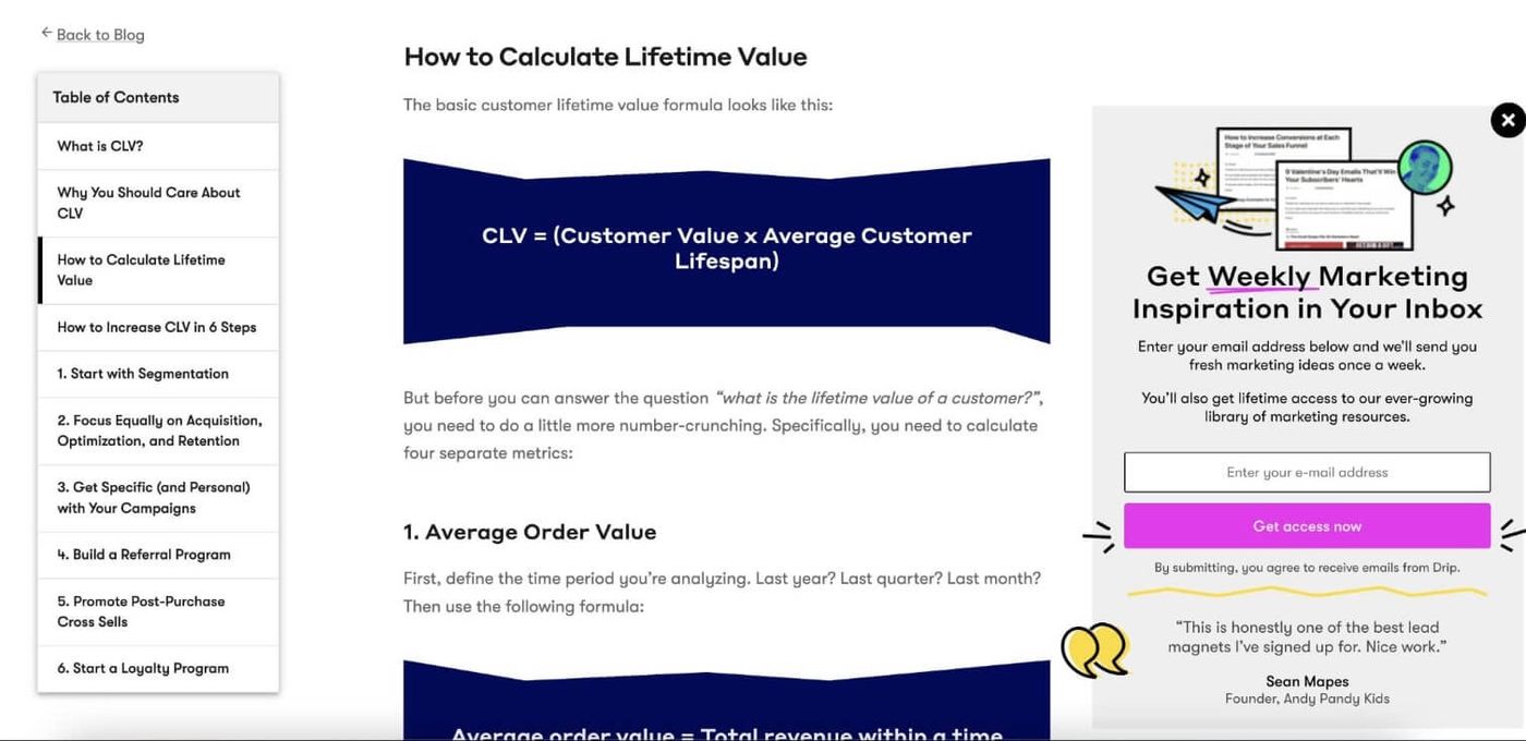 Drip blog post opt in form to generate leads