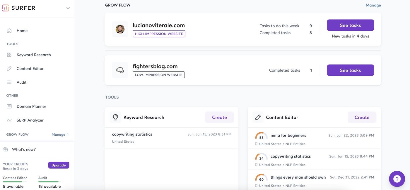 surferseo dashboard
