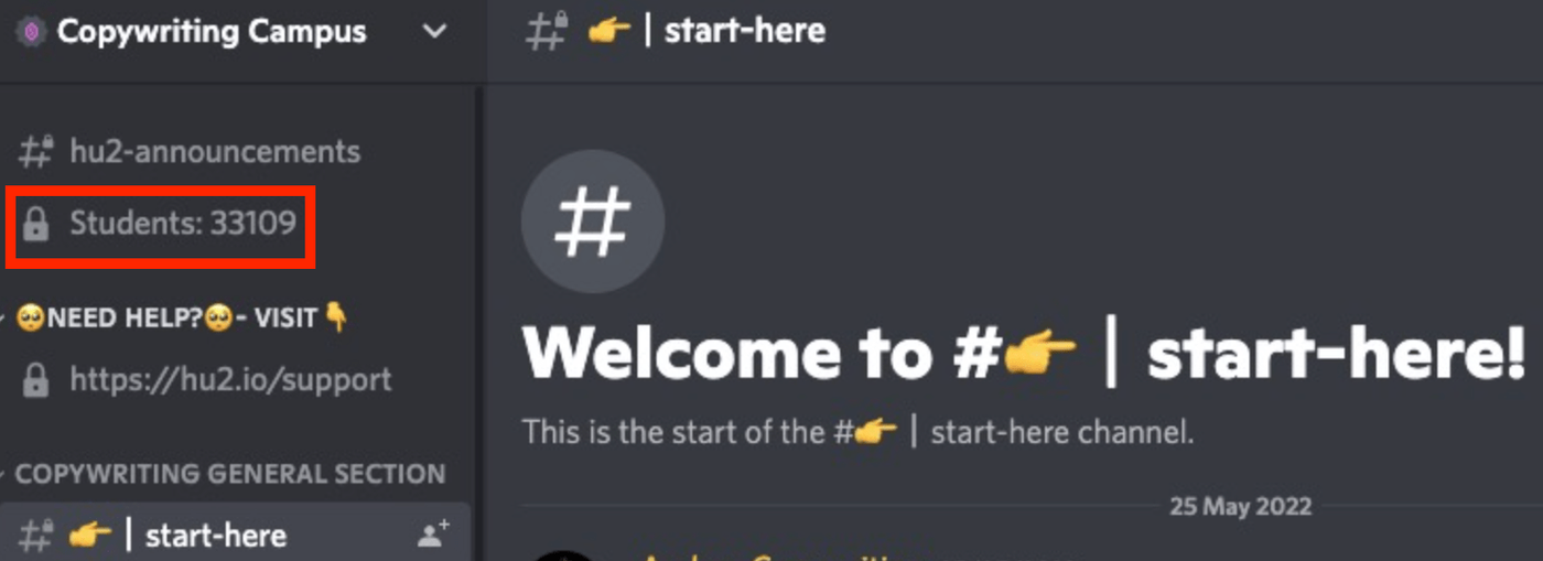 hustlers university copywriting
