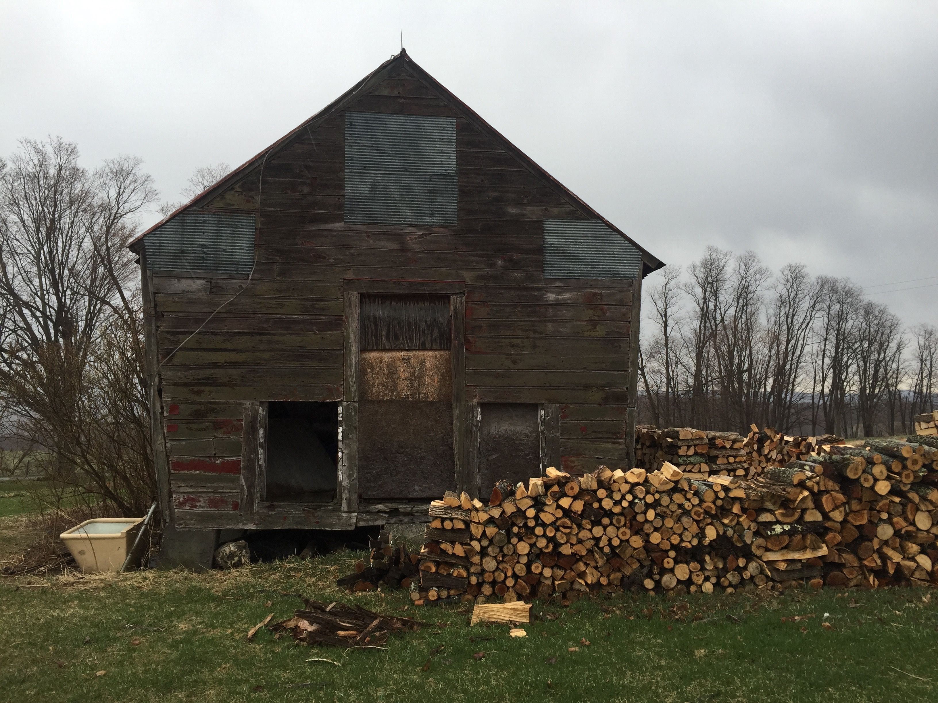 Fire wood collection