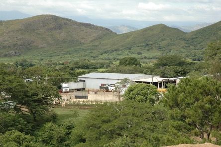 Packing house for export vegetables from Honduras
