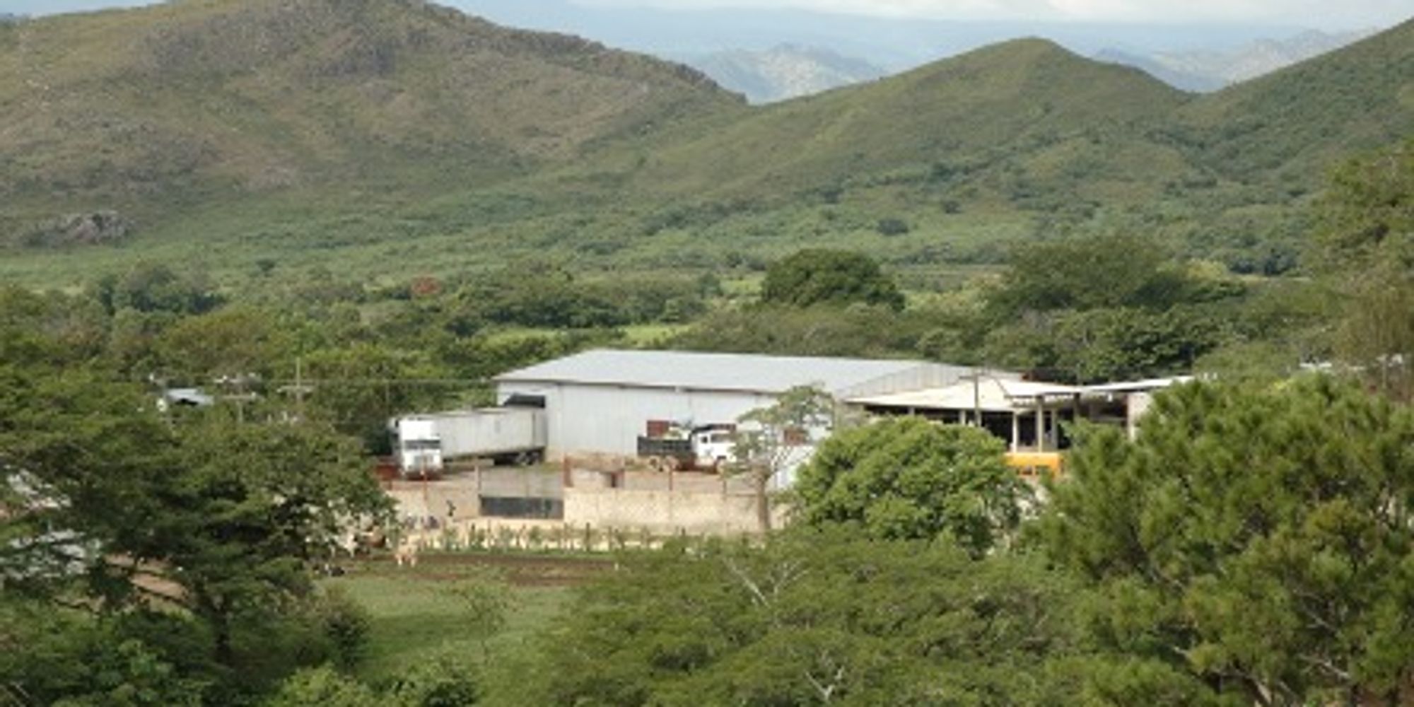 Packing house for export vegetables from Honduras