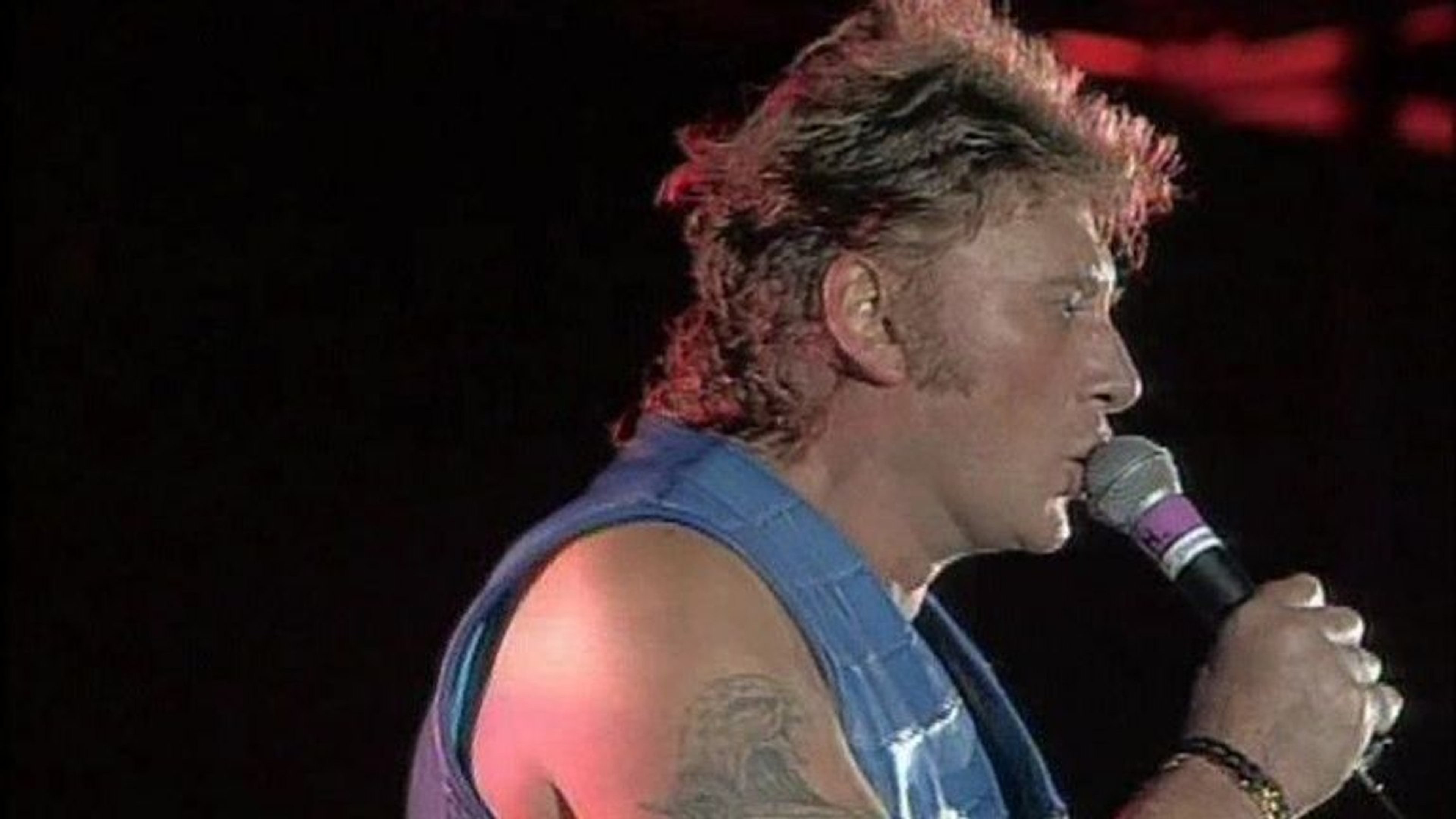 Johnny hallyday, Parc des Princes 1993