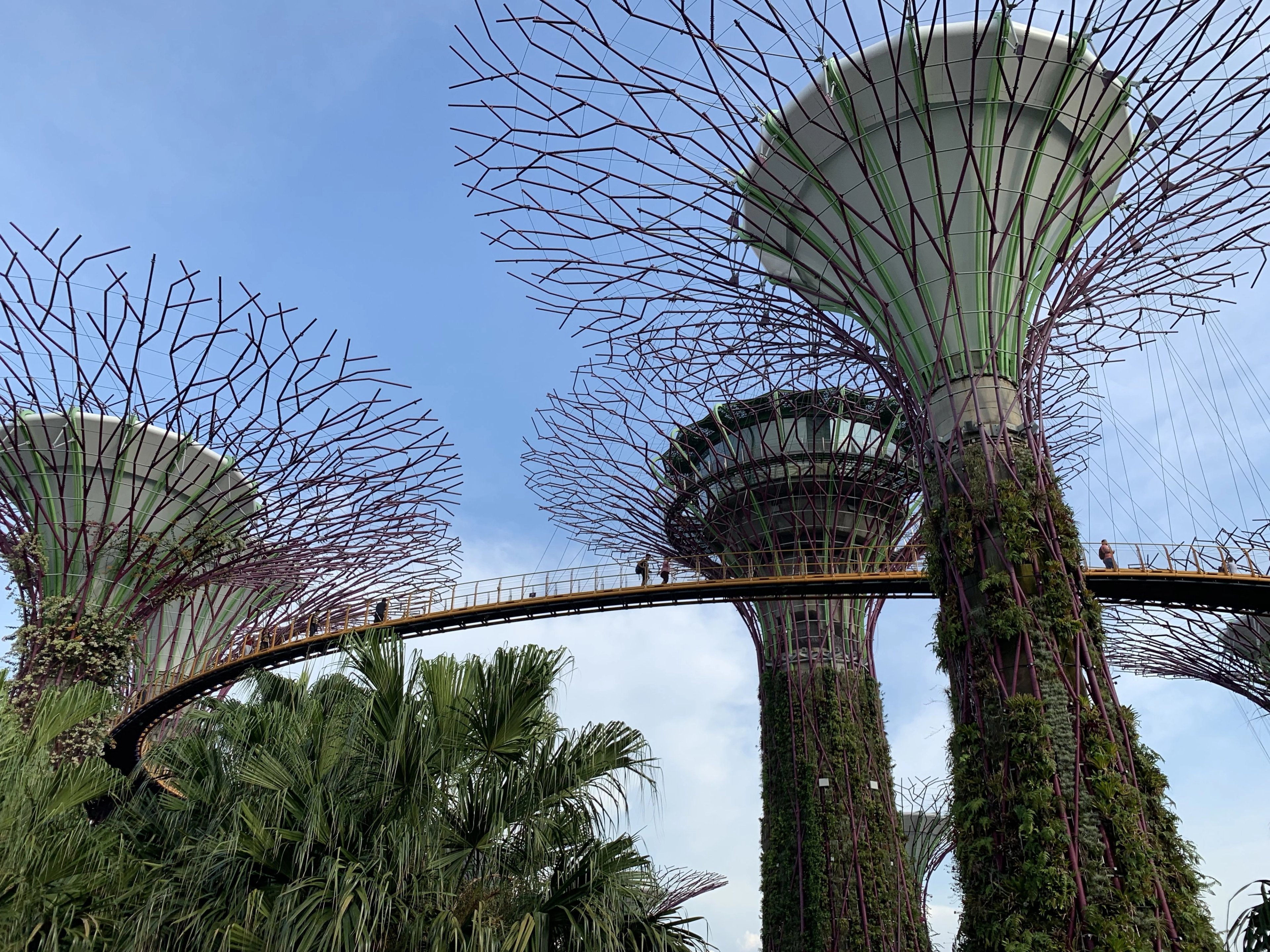 singapour