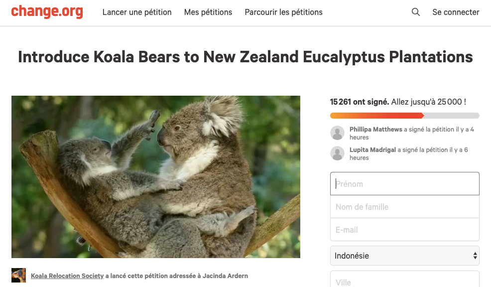 Koala