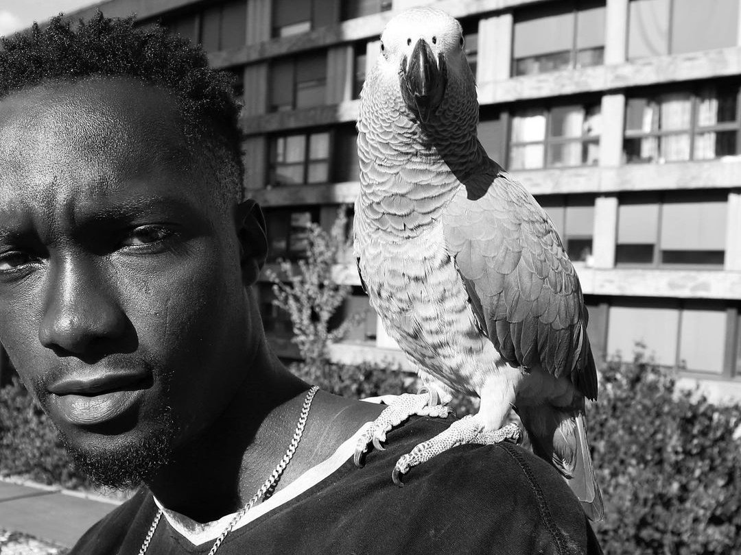Photographe : Lumia