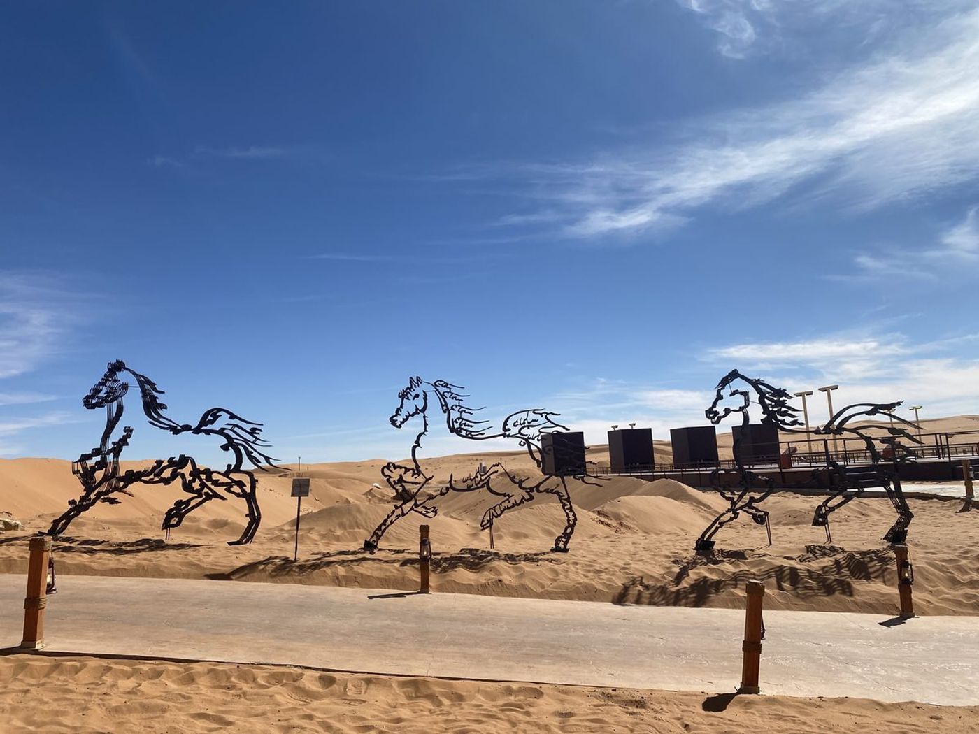 O Horse — Image 16