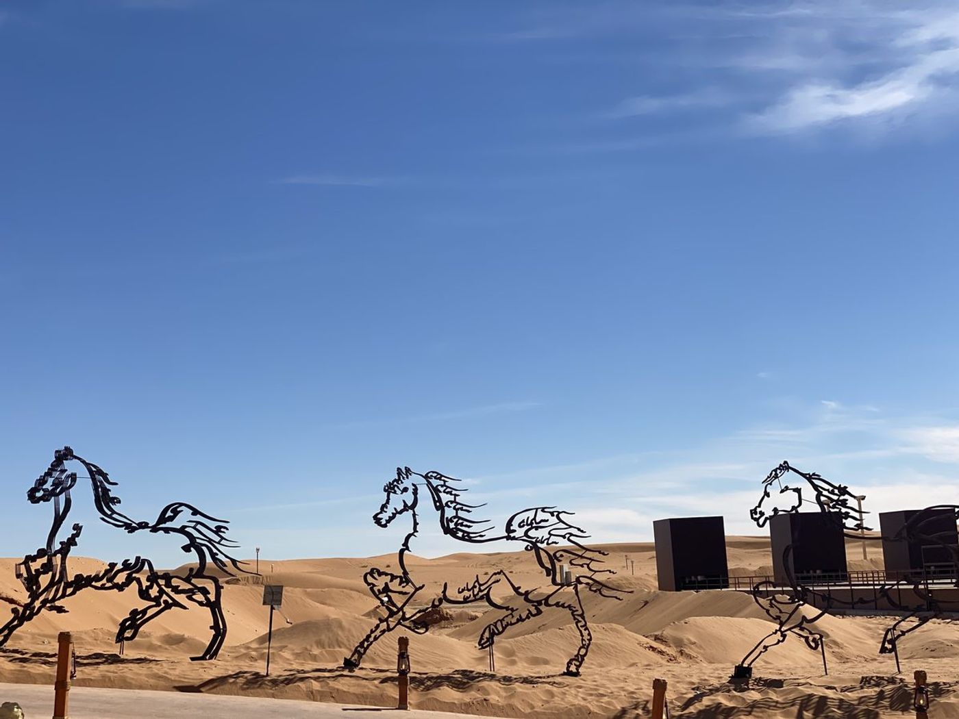 O Horse — Image 17