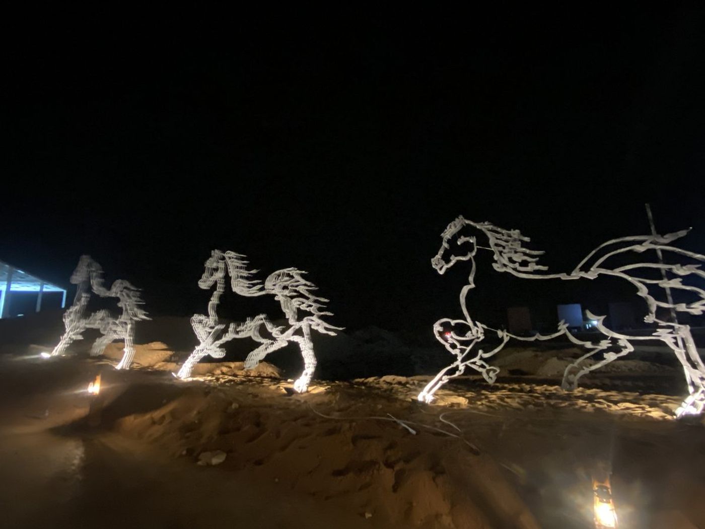 O Horse — Image 10